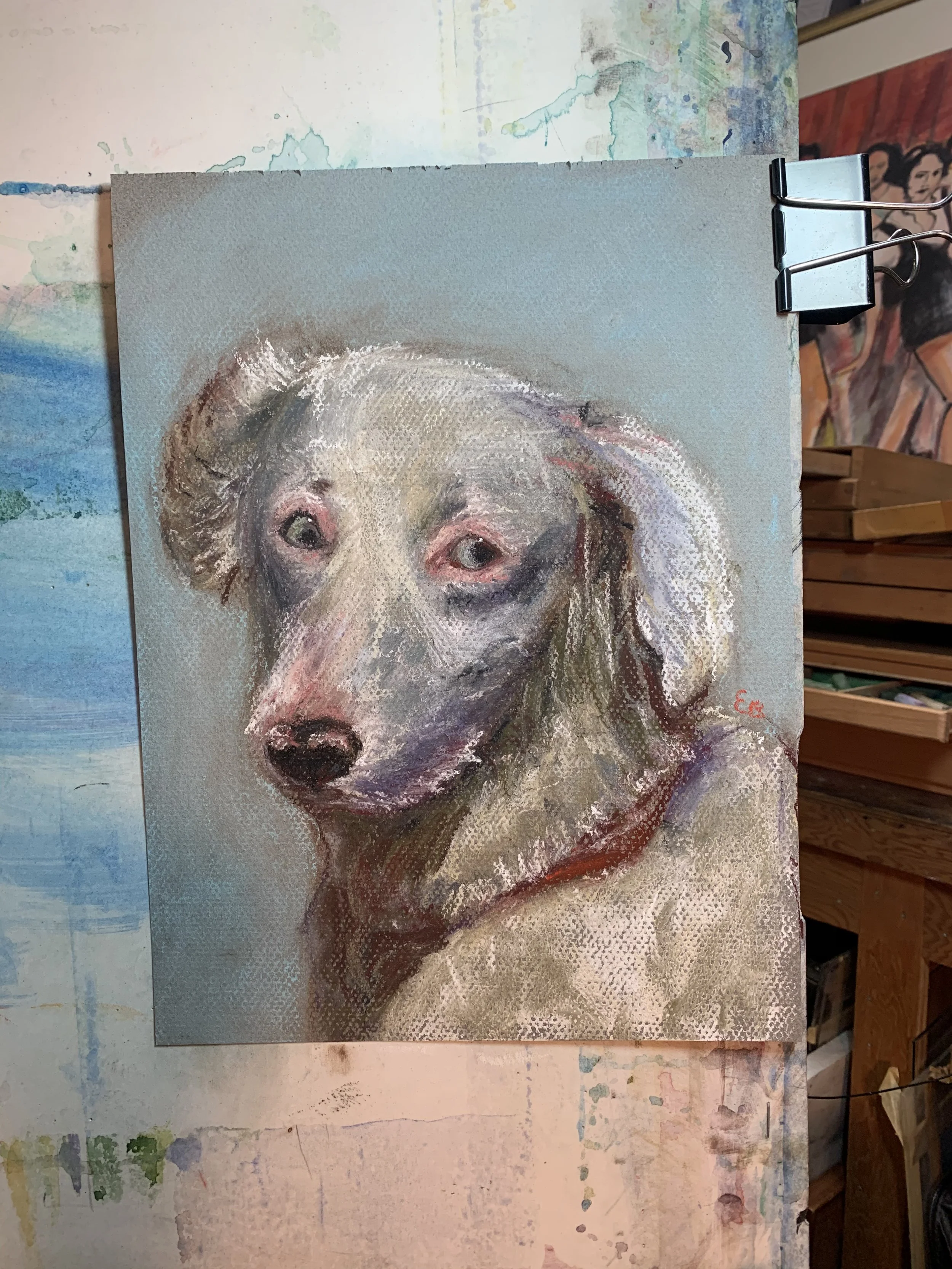 albino dog pastel.jpeg