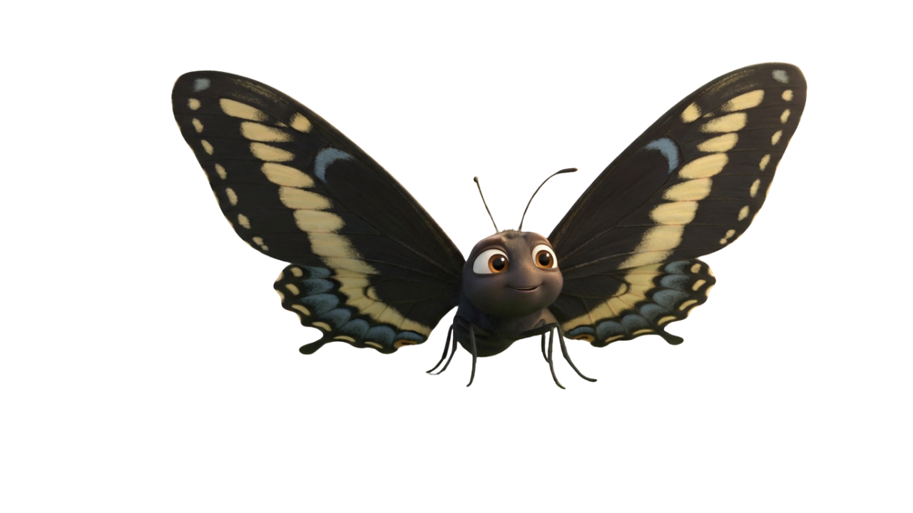 BUTTERFLY LIFE CYCLE