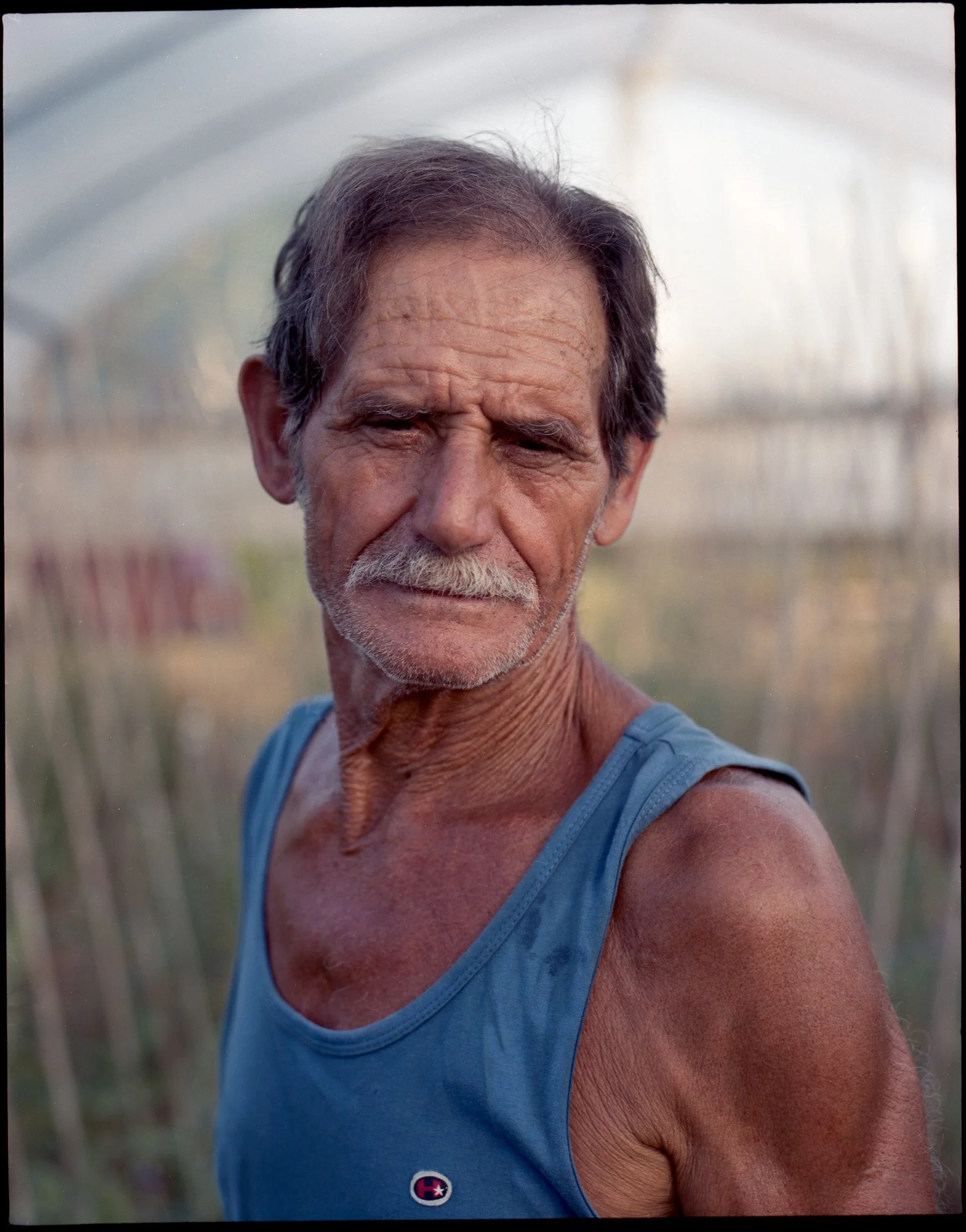 Close-up of an elderly man with gray hair and beard, wearing a blue tank top, standing outdoors, with a blurred greenhouse or netted structure in the background.