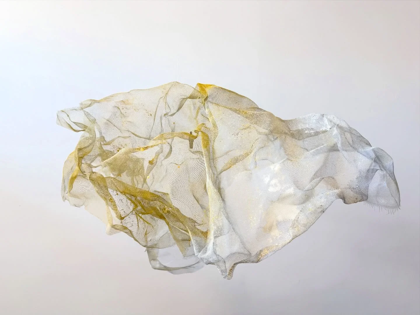 Most recent in the studio 💛