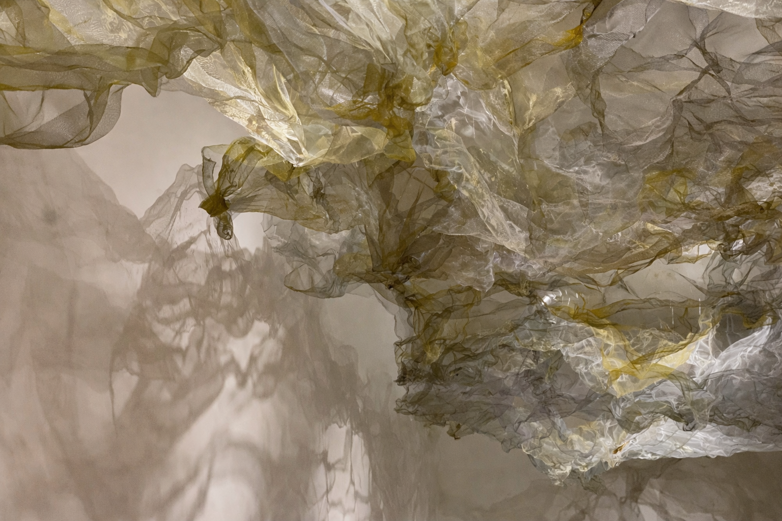 ChatGPT Image Jan 13, 2026, 08_55_52 PM.png