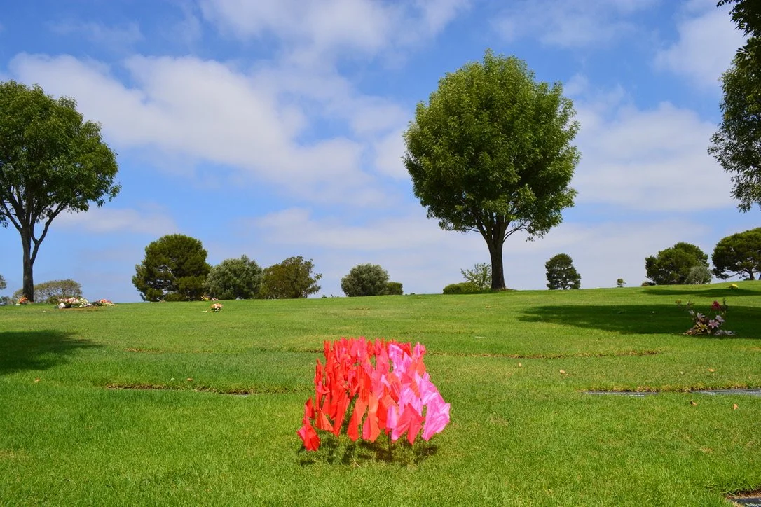 Everything You Want to Declare