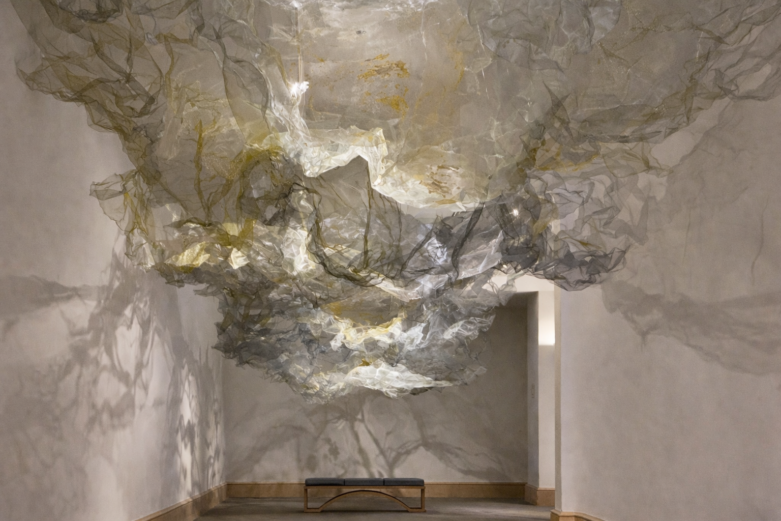 The Near and Bright Expanse