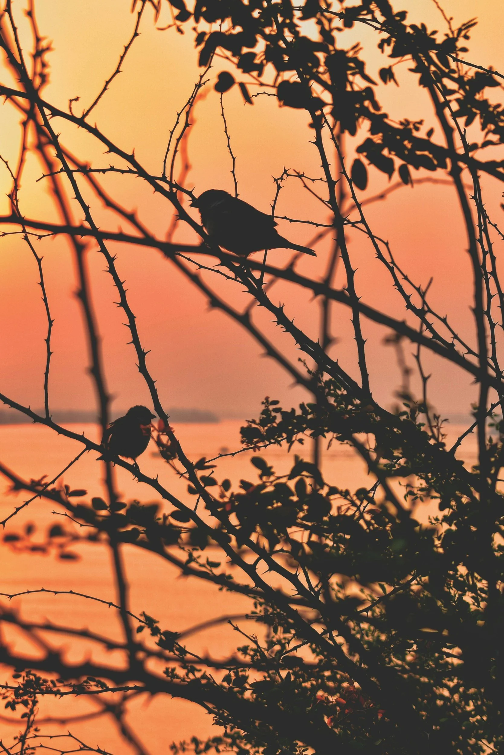 Empathy for the Machine: How LLMs May Make Us More Human