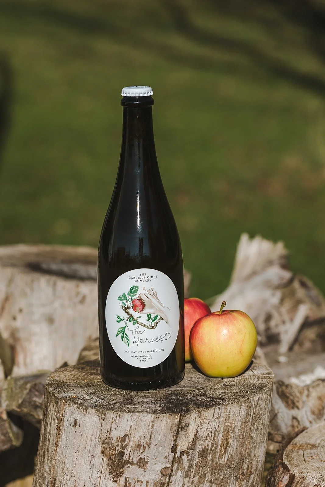 A dark glass bottle of cider labeled 'The Harvest' from The Carlisle Cider Company, placed on a weathered wooden stump with two apples beside it, outdoors with a blurred green background.