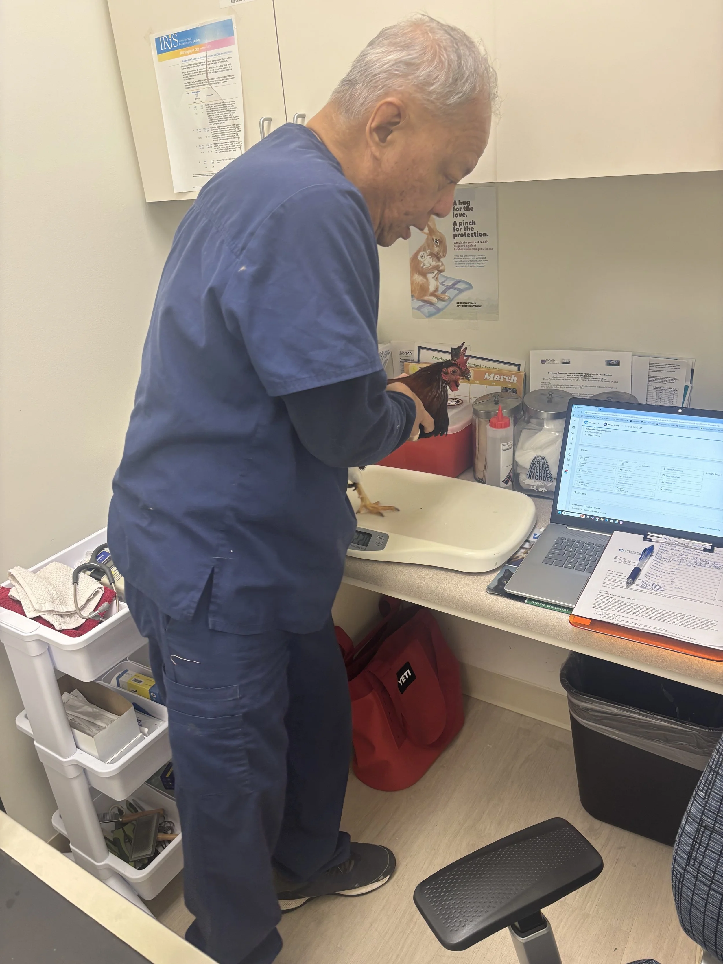 The community stepped up big and donated enough money to get chance seen and while he is not out of the woods yet, the vet believes his foot may recover. He is receiving two weeks of physical therapy and will have a follow-up to determine next steps.