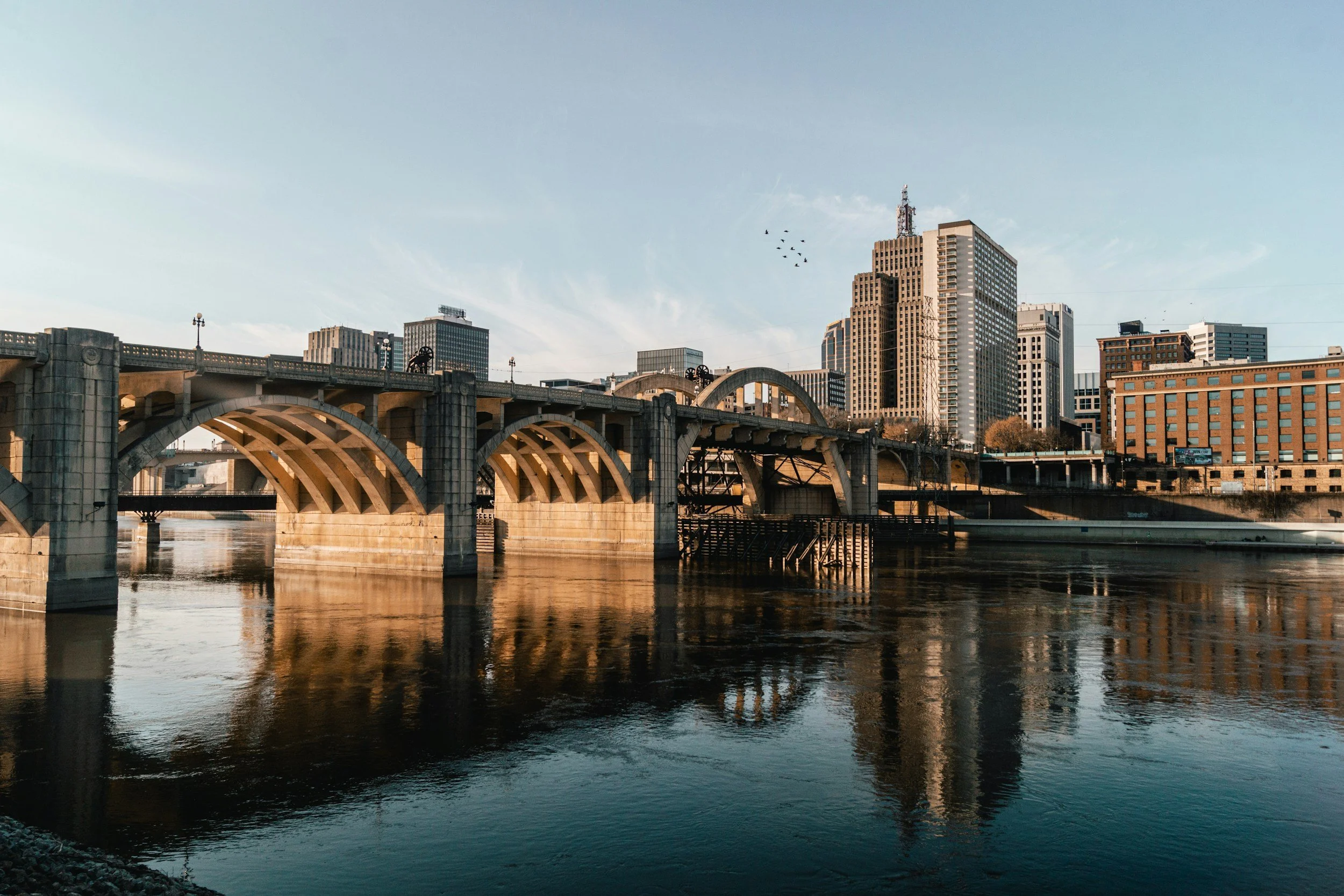 Cityscape of high-rise buildings viewed from a river with a bridge in the foreground and a flock of birds in the sky.
