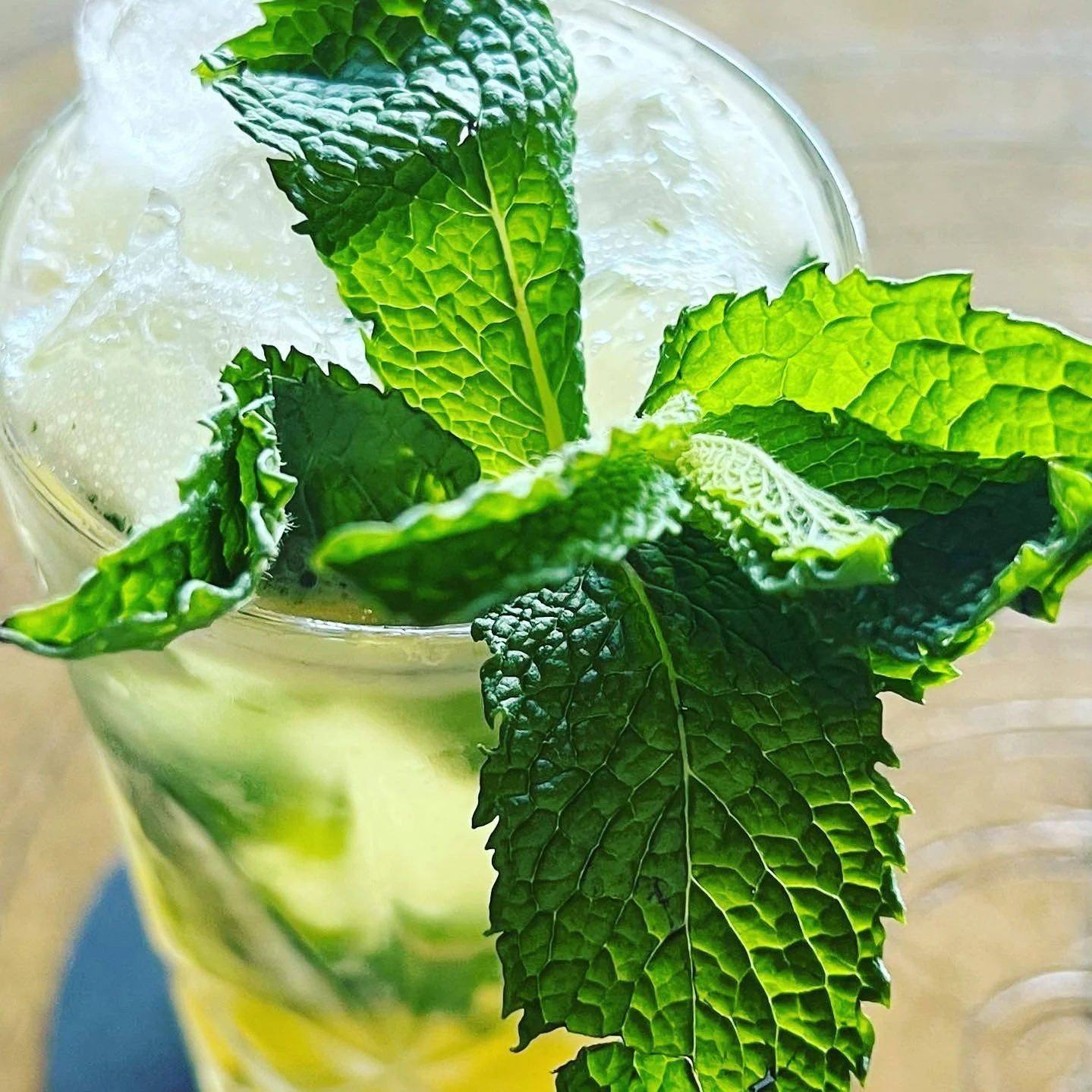 #refreshingmoments #mint #minttea #greentea #svg