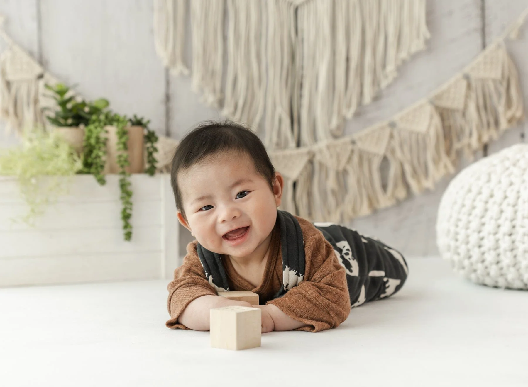 Baby Milestone Celebration Eastwood Studios Christchurch Photographer