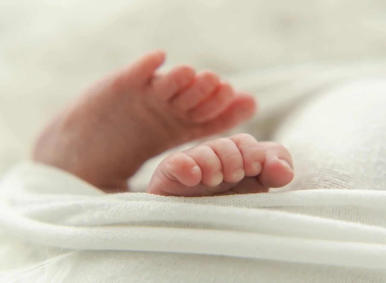 Professional newborn photography Christchurch NZ