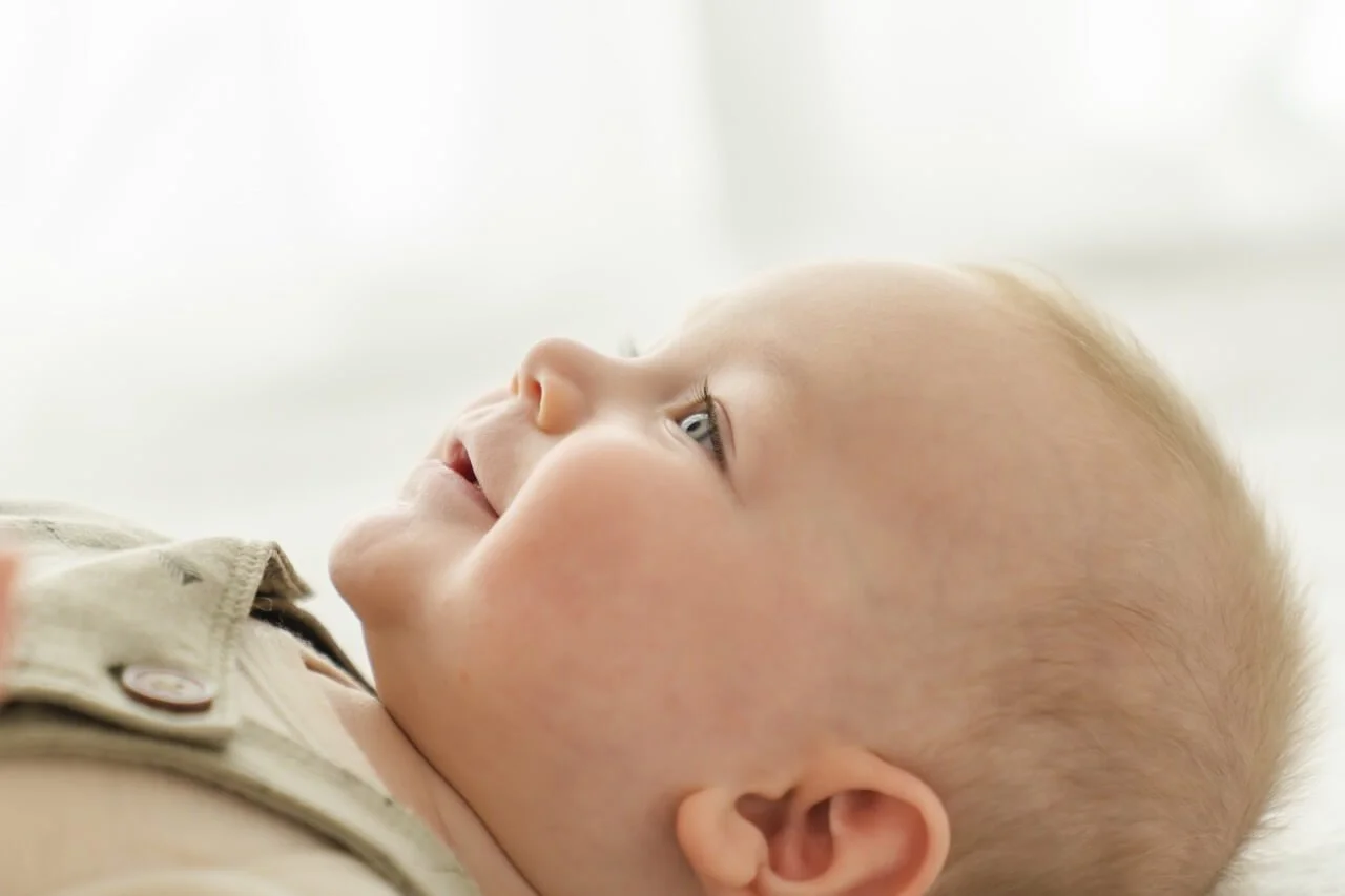 260129PRINT-4 Large.jpeg