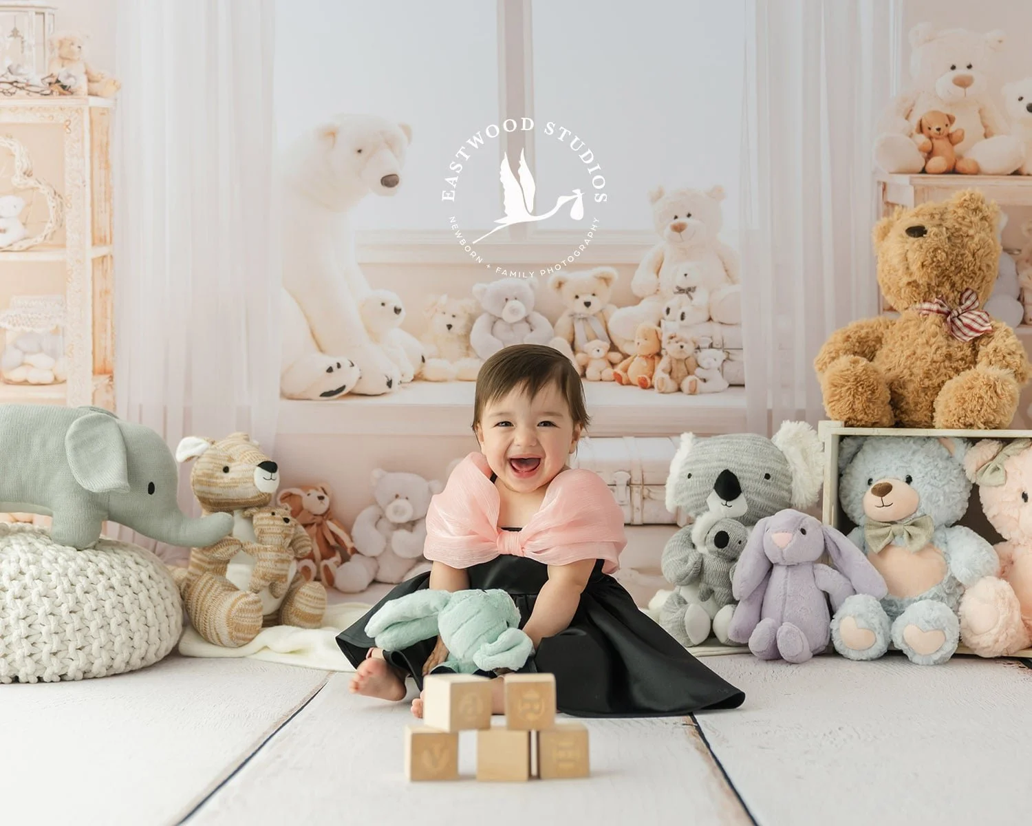 baby milestone celebration portraits Eastwood Studios Christchurch NZ