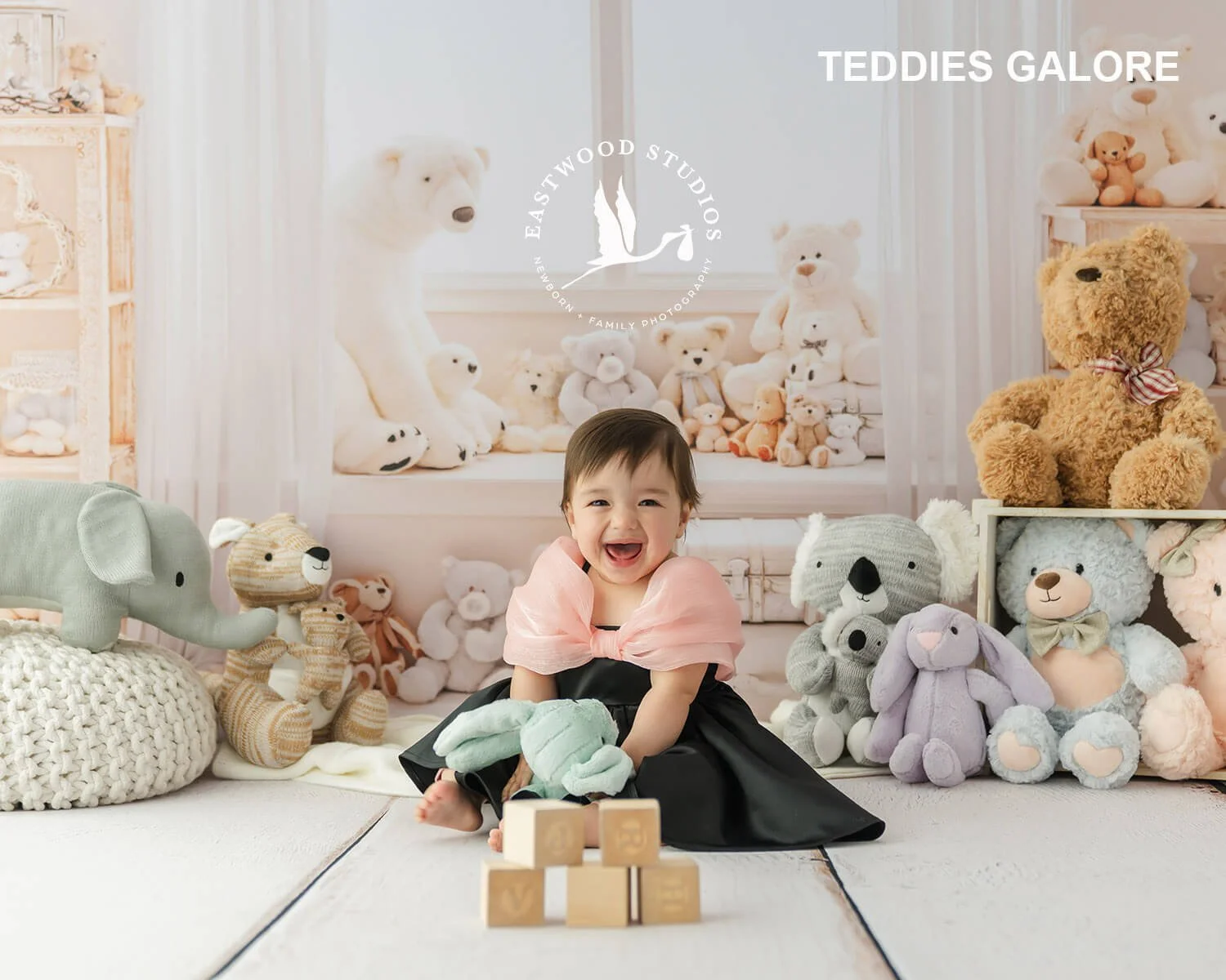Teddies Galore
