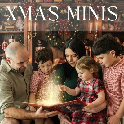 Professional Christmas mini photography Christchurch NZ