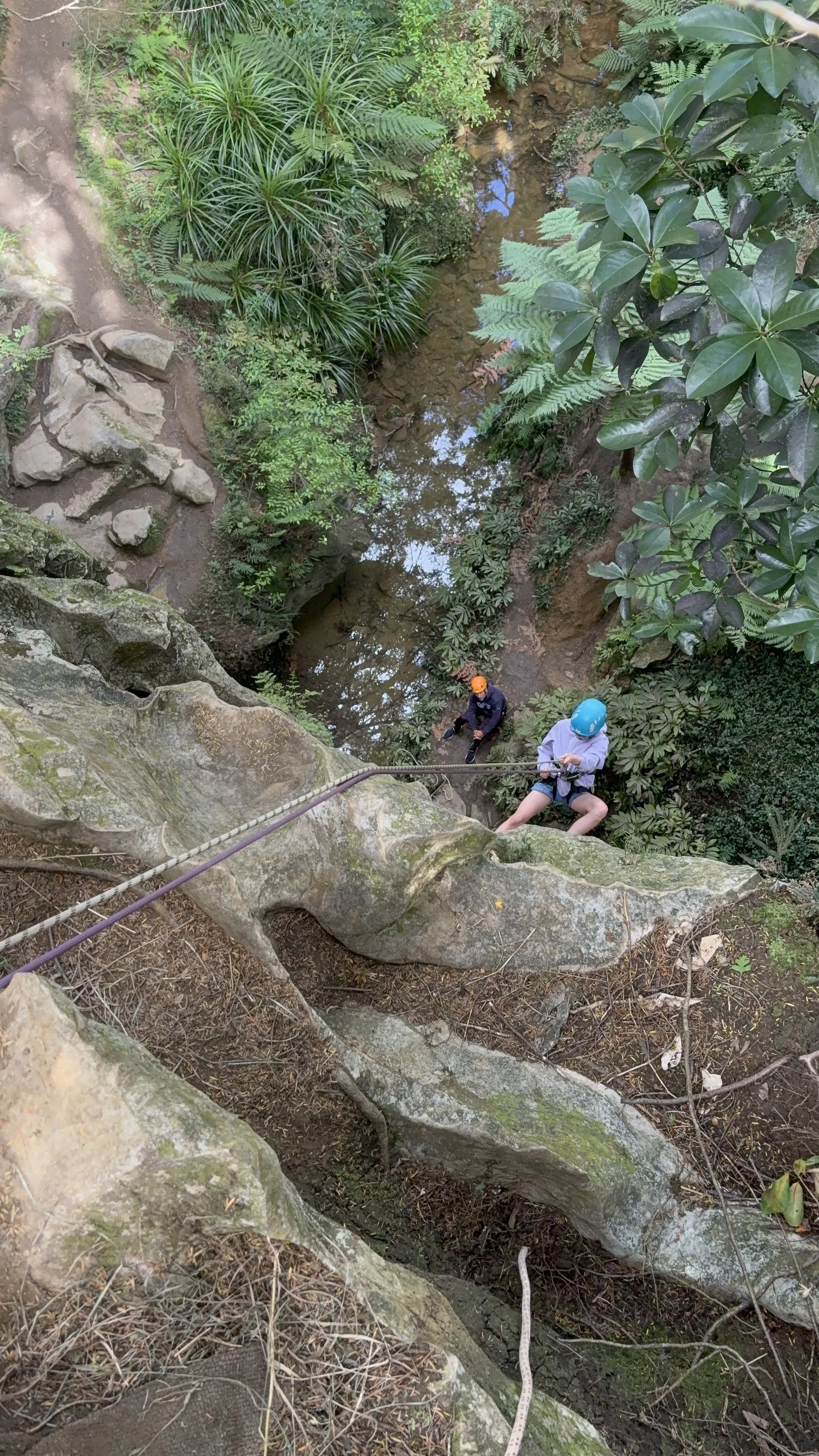 Recent instructing work at Waipu Caves running Abseiling