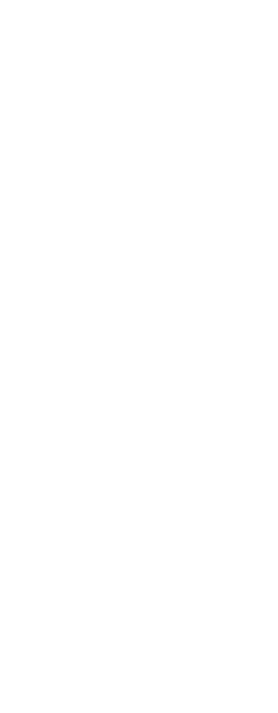 Ely Haack | Custom Tattoo Artist