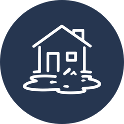 Mold casue ongoing water damage