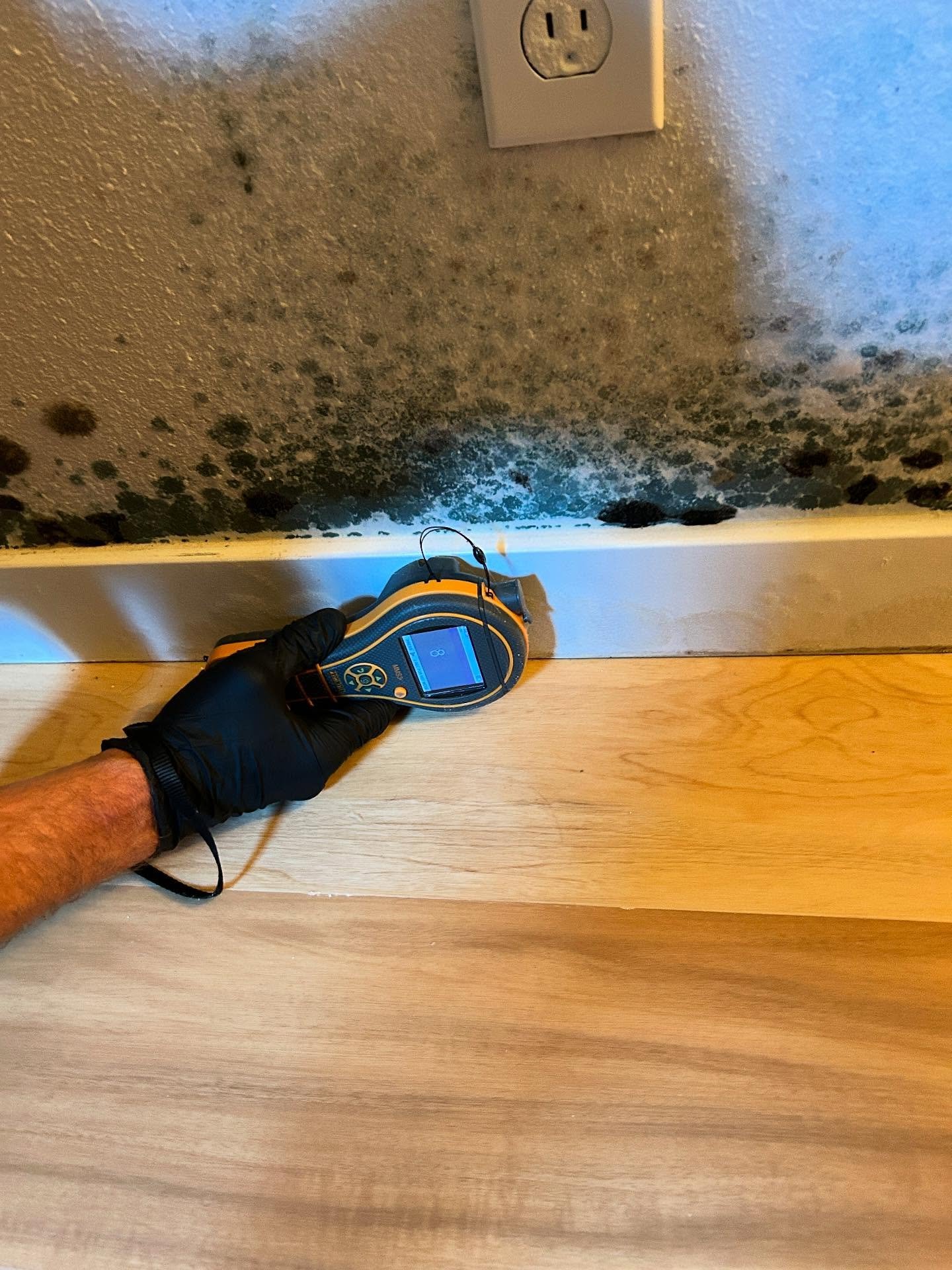 Mold on the interrior wall of a home