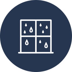 mold from condensation