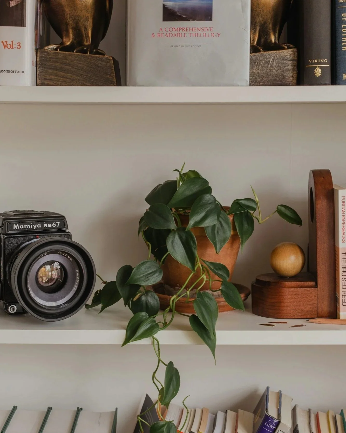 professional organizer office space