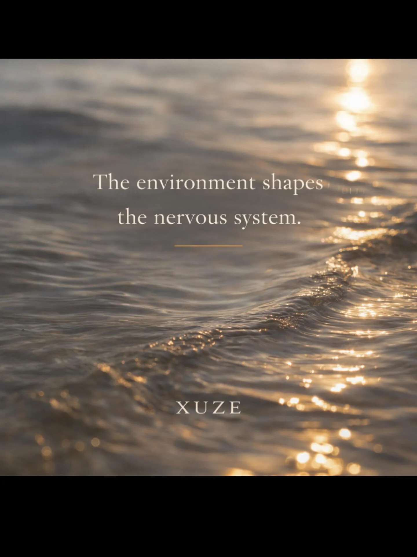 Xuze | Philosophy 🌱✨