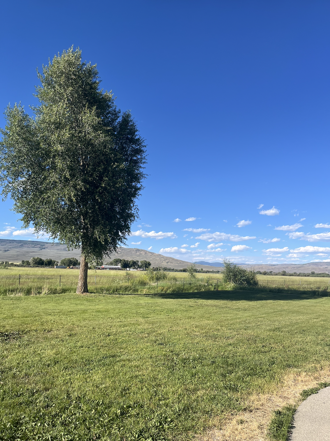 Screenshot 2026-01-28 at 11.31.30 AM.png