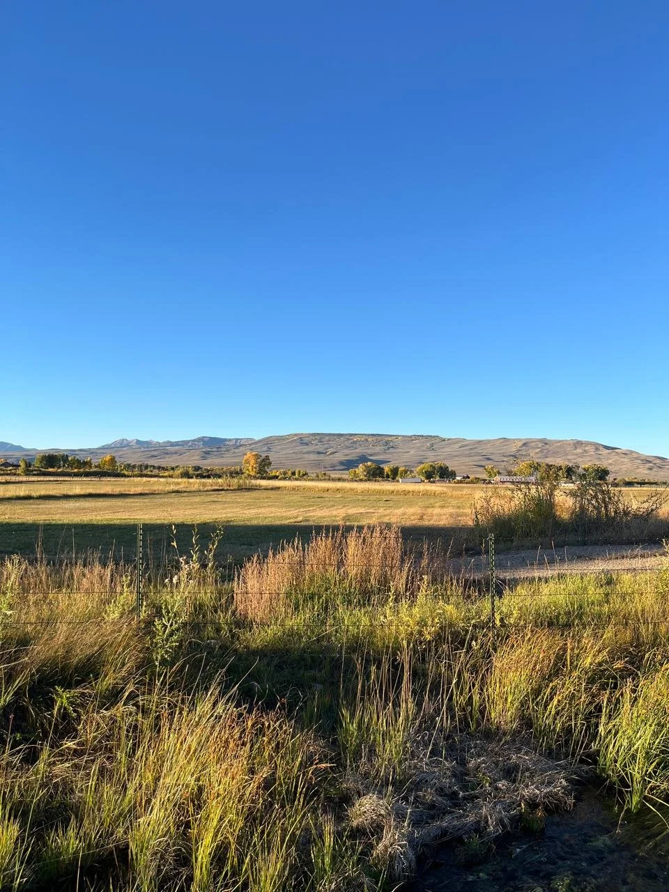 Fall in the Backyard.jpeg