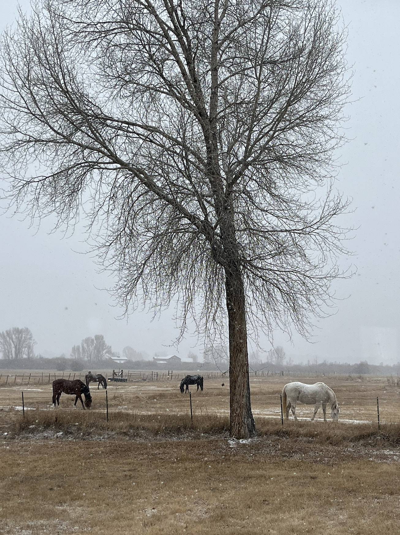 Screenshot 2026-01-28 at 11.32.14 AM.png