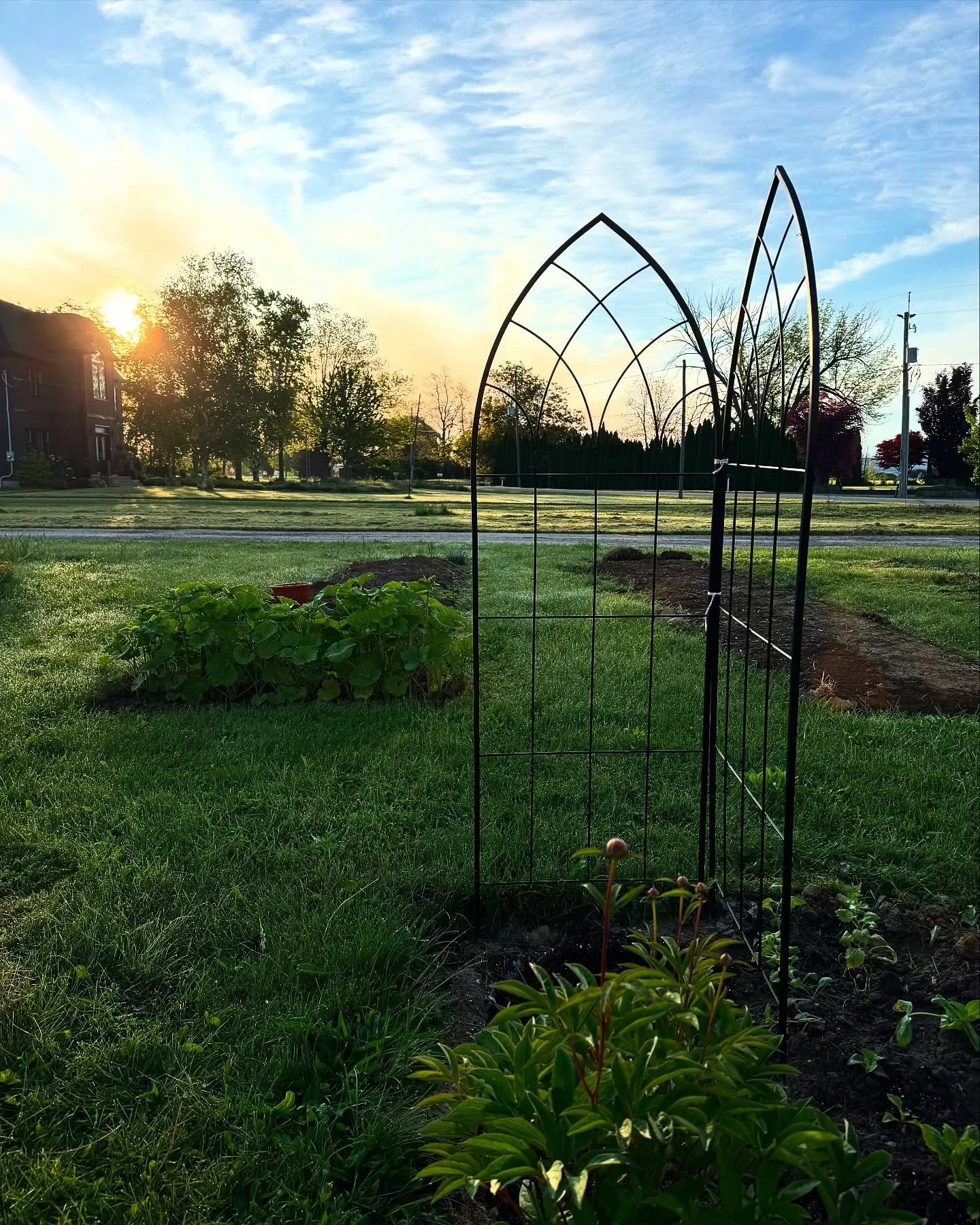 After all the rain and gloom, the sun is finally shining and the flowers are starting to bloom. 🥰

𝙱𝚘𝚗𝚞𝚜 𝚙𝚘𝚒𝚗𝚝𝚜 𝚒𝚏 𝚢𝚘𝚞 𝚌𝚊𝚗 𝚗𝚊𝚖𝚎 𝚝𝚑𝚎𝚖 𝚊𝚕𝚕. 😇