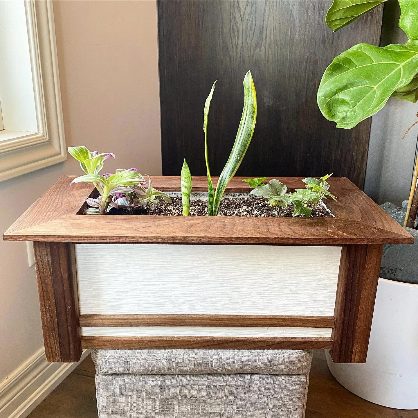 We were almost sad to see this one go! Gifted this cute little planter box to @amberbellexo with some plants from our favourite place,  @thewateringcan. 🪴