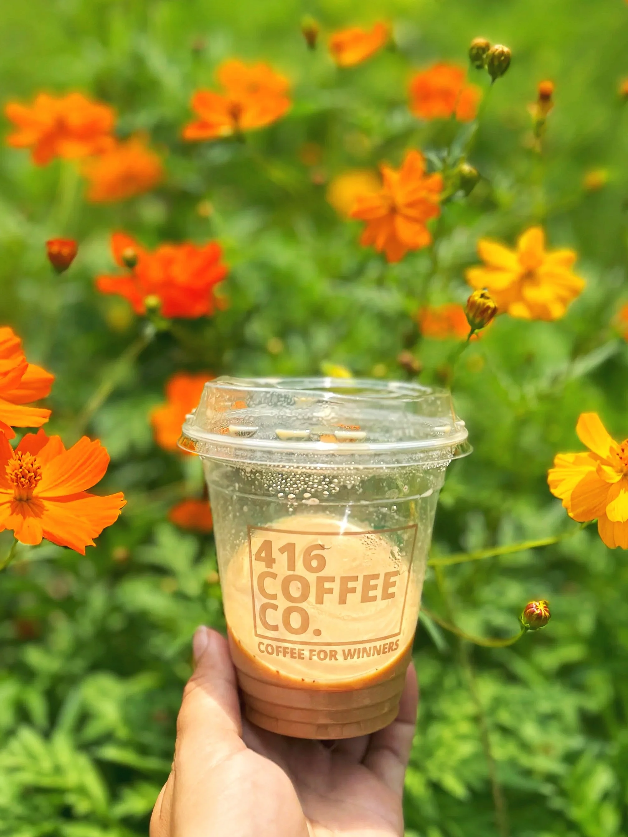 Close-up of a hand holding a clear plastic cup of iced coffee with a transparent lid, with the logo '416 Coffee Co.' and the slogan 'Coffee for Winners,' against a background of orange and yellow flowers and green foliage.
