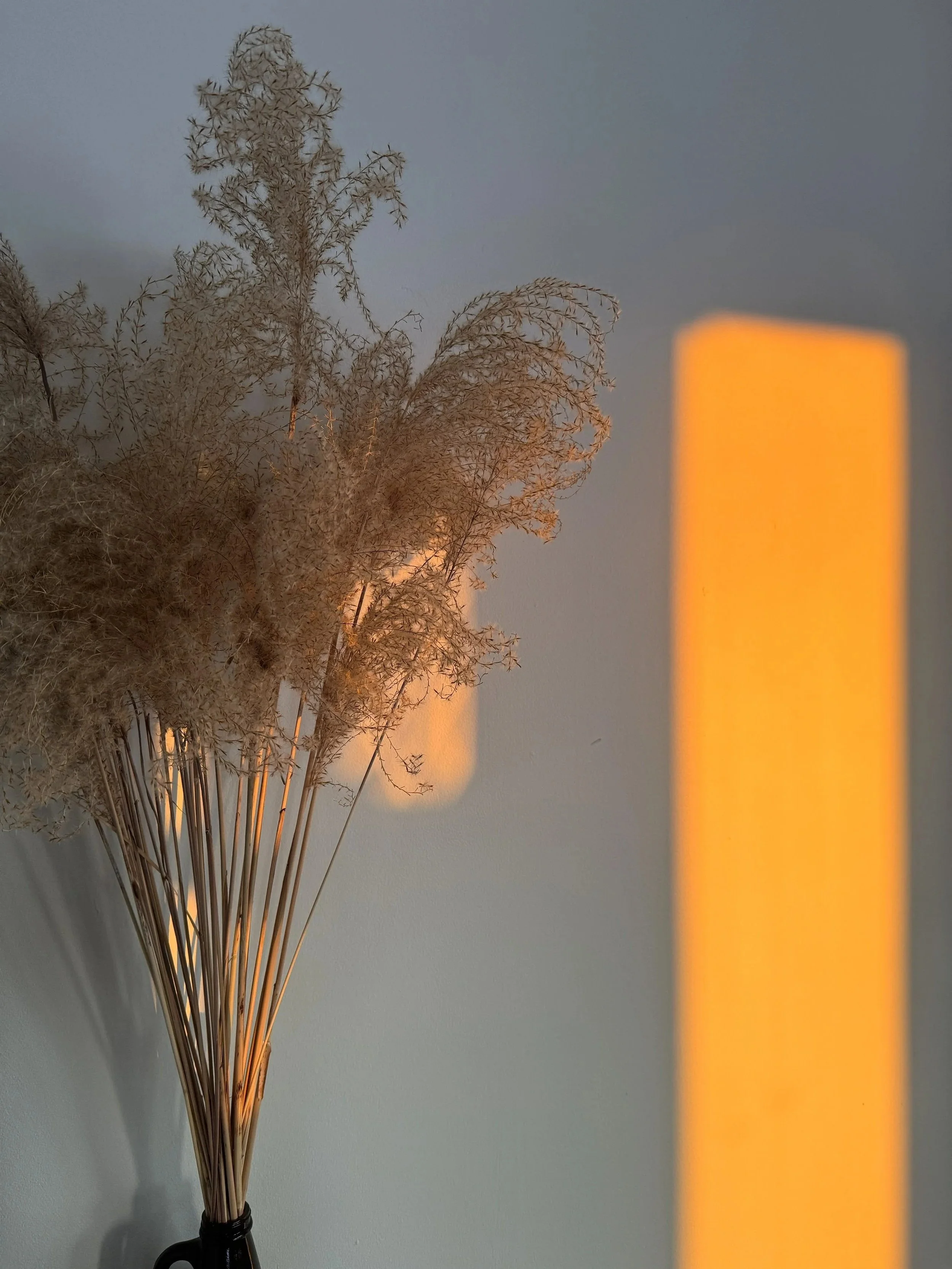 A bouquet of dried pampas grass in a brown growler from a local brewery with a reflection of gold from the golden hour glow outside.