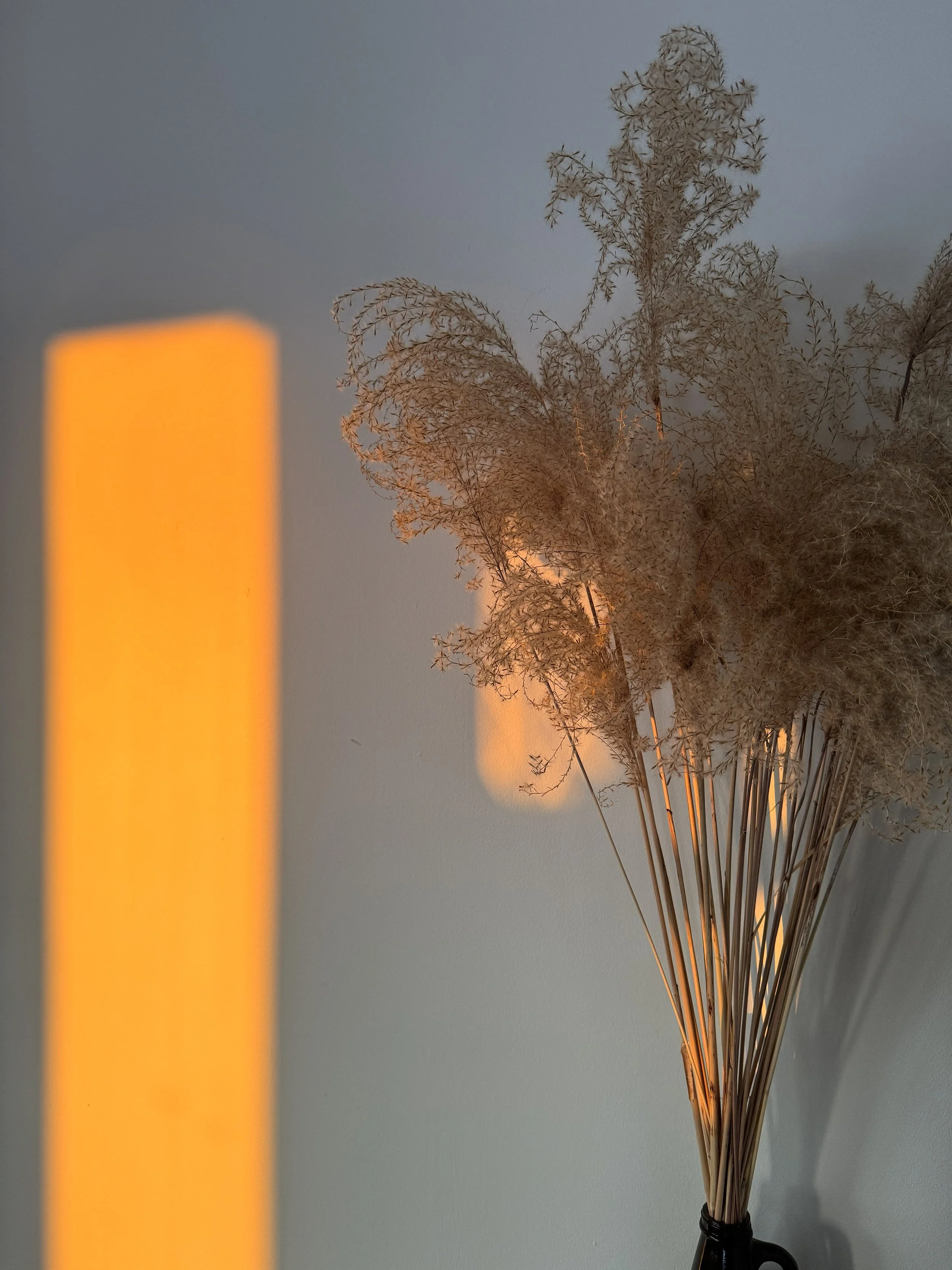 A bouquet of dried pampas grass in a brown growler from a local brewery with a reflection of gold from the golden hour glow outside.