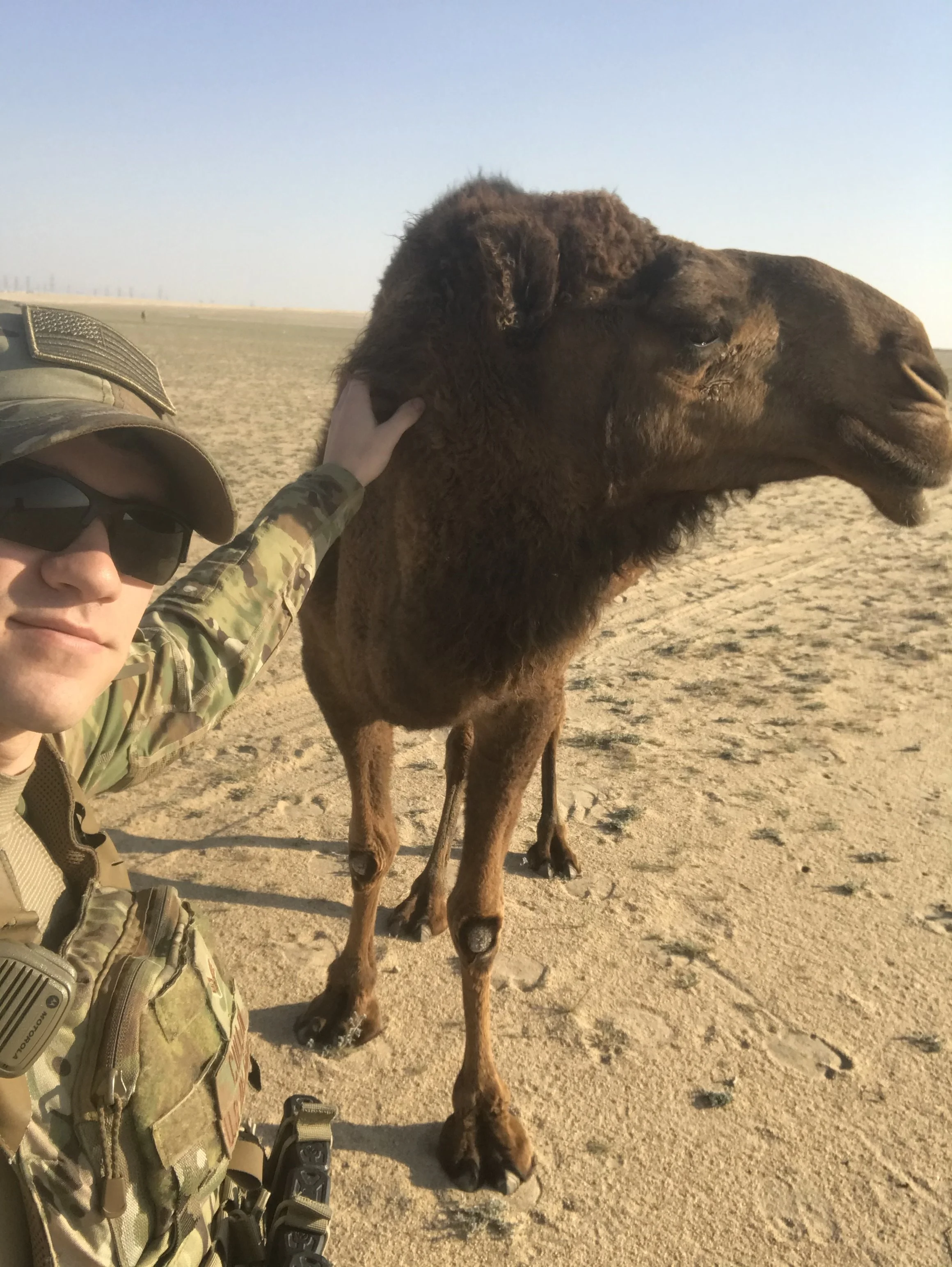 IMG_1189 - James Cullen.jpeg