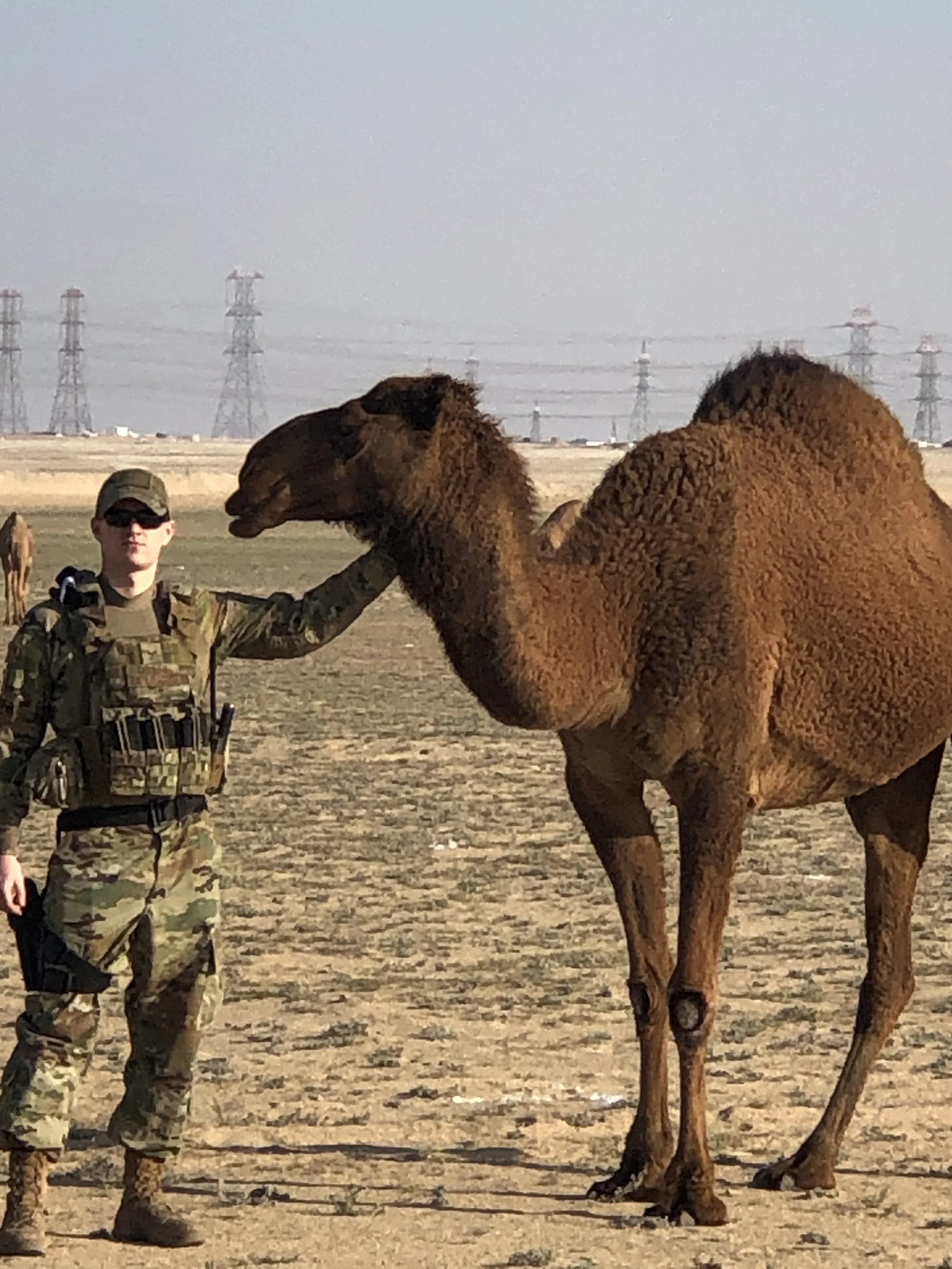 IMG_1191 - James Cullen.jpeg