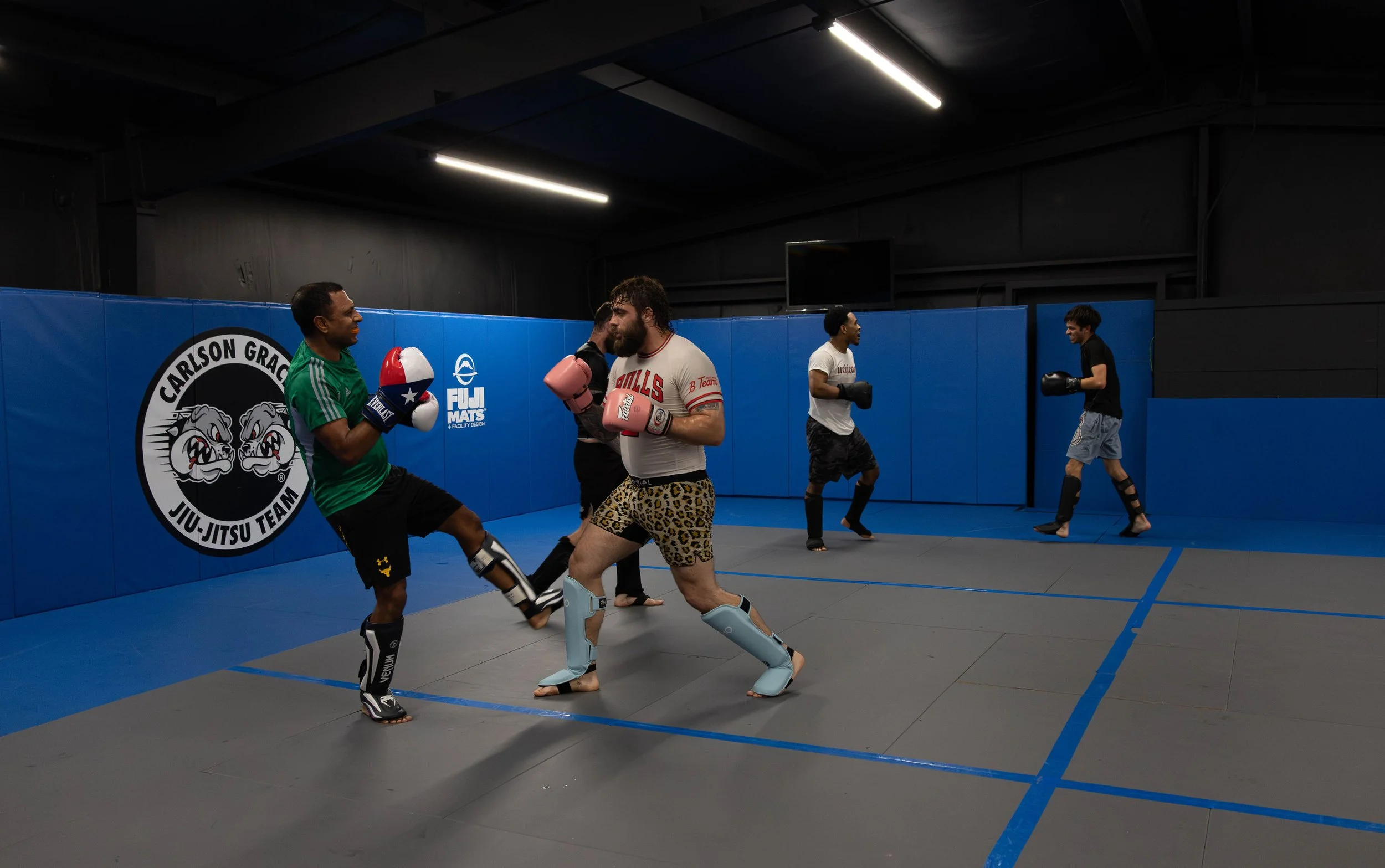 MMA.jpg