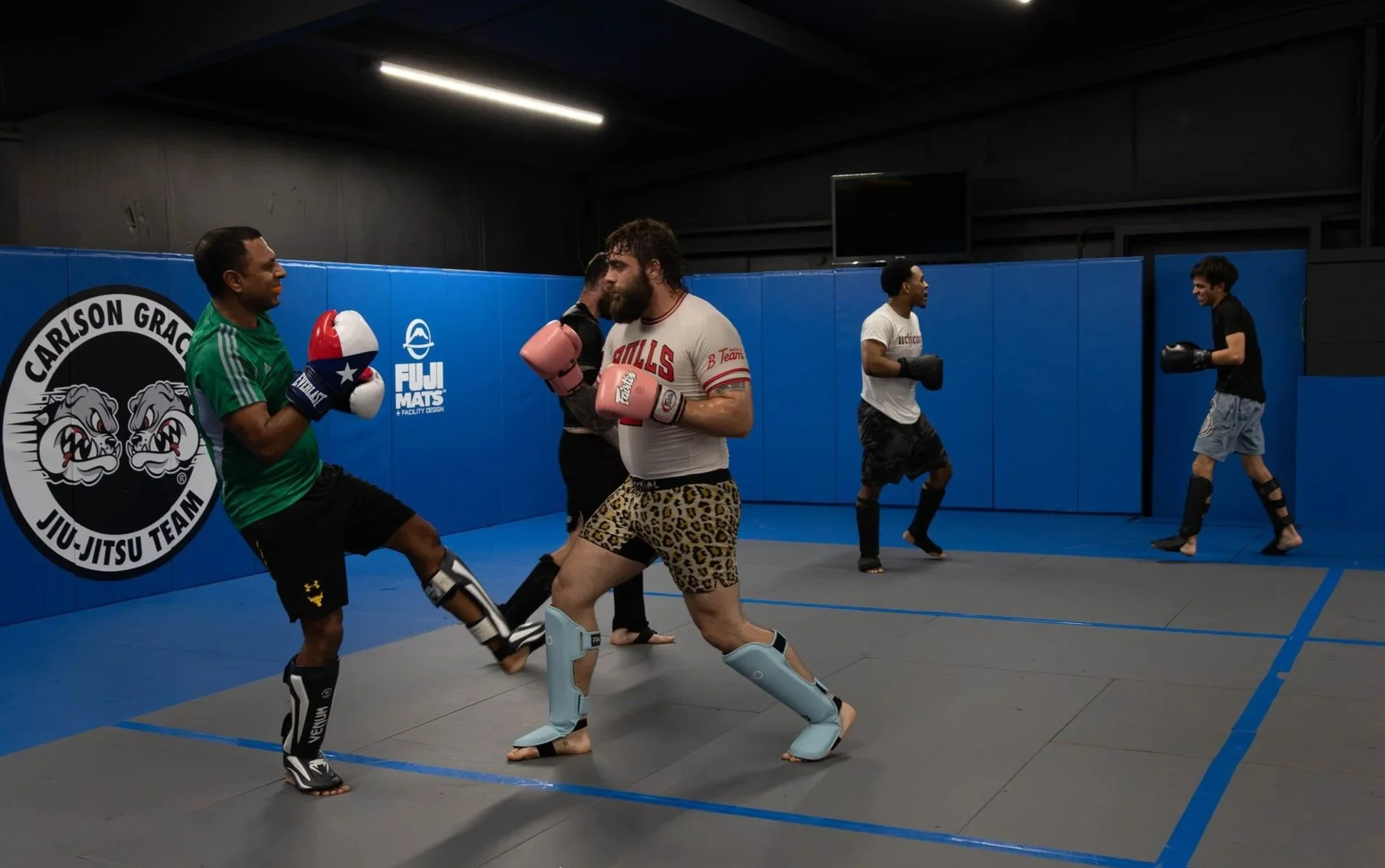 MMA.jpg