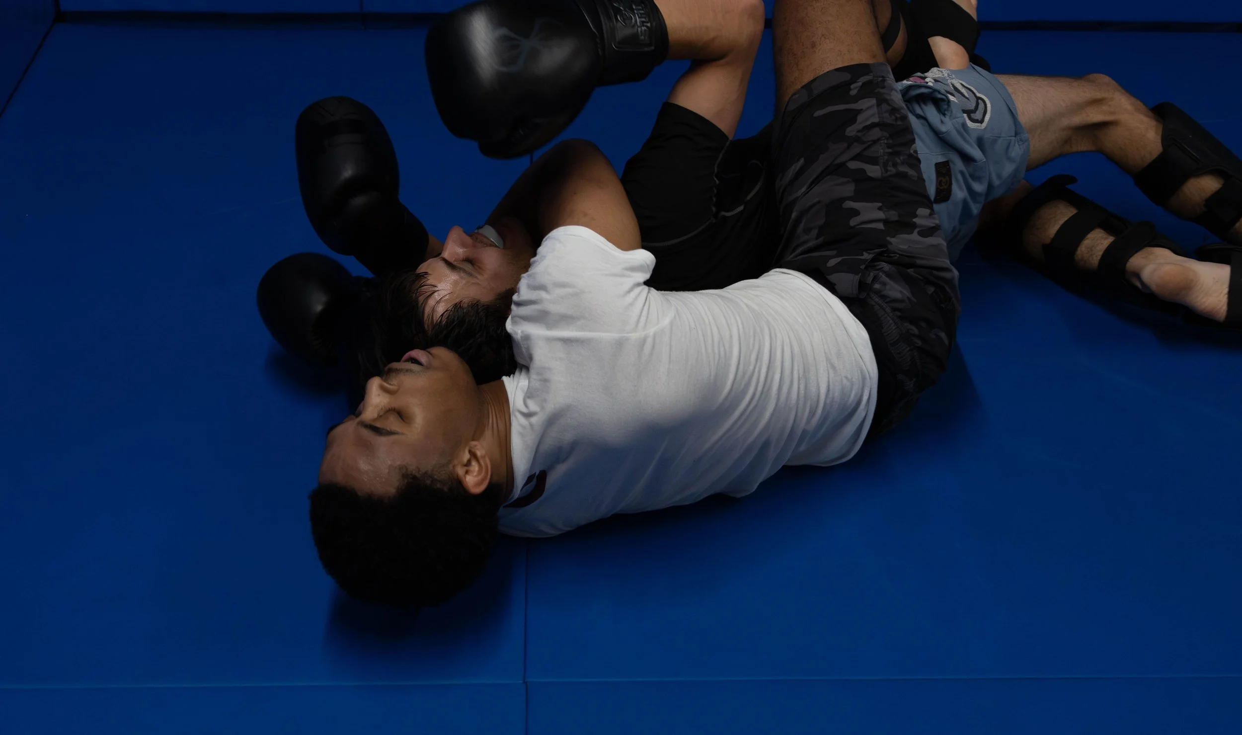 Adult MMA.jpg