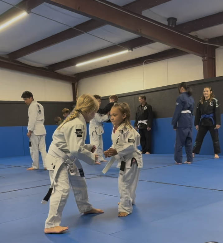 Screenshot 2026-01-20 at 3.22.55 PM.png