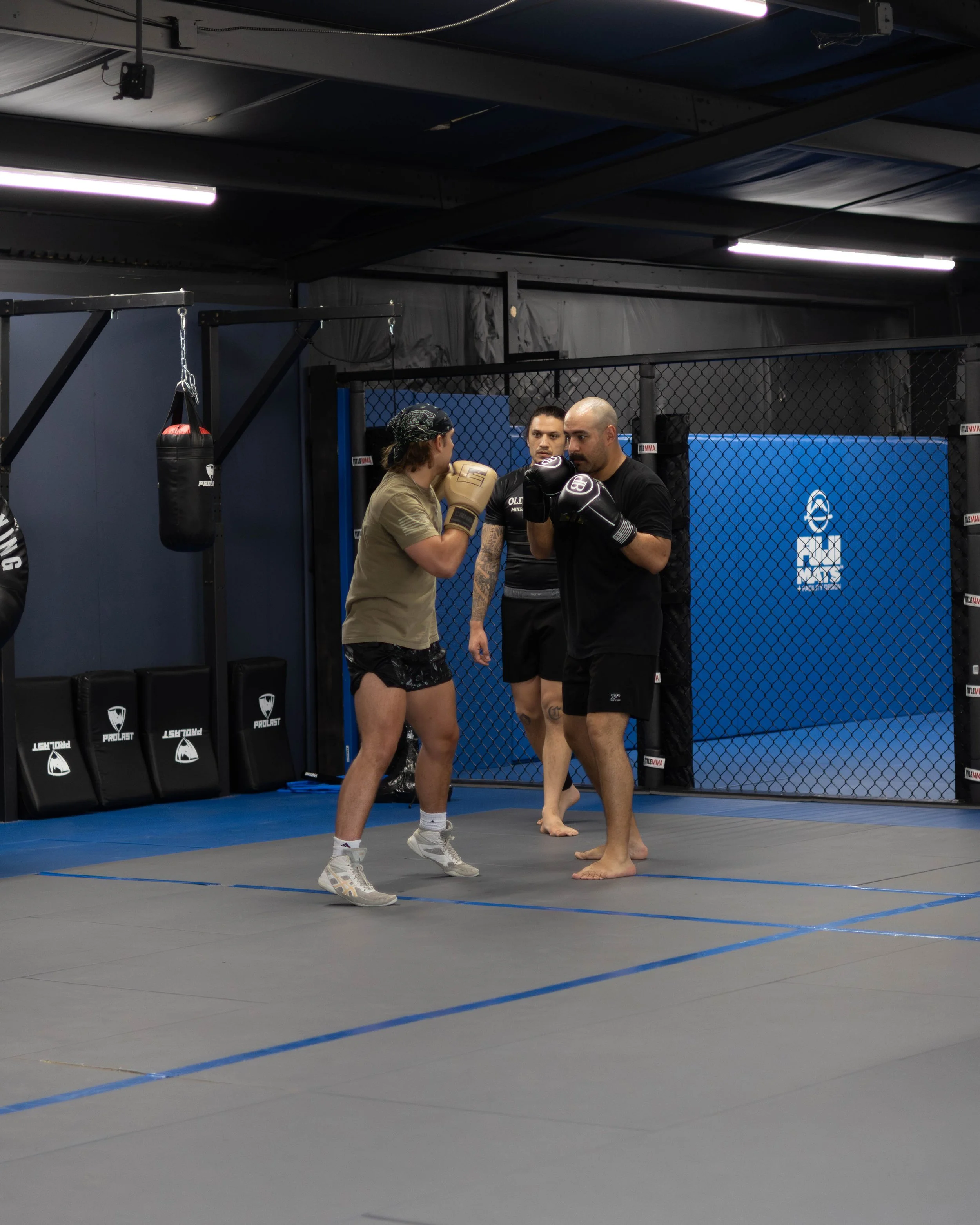 Adult Boxing.jpg