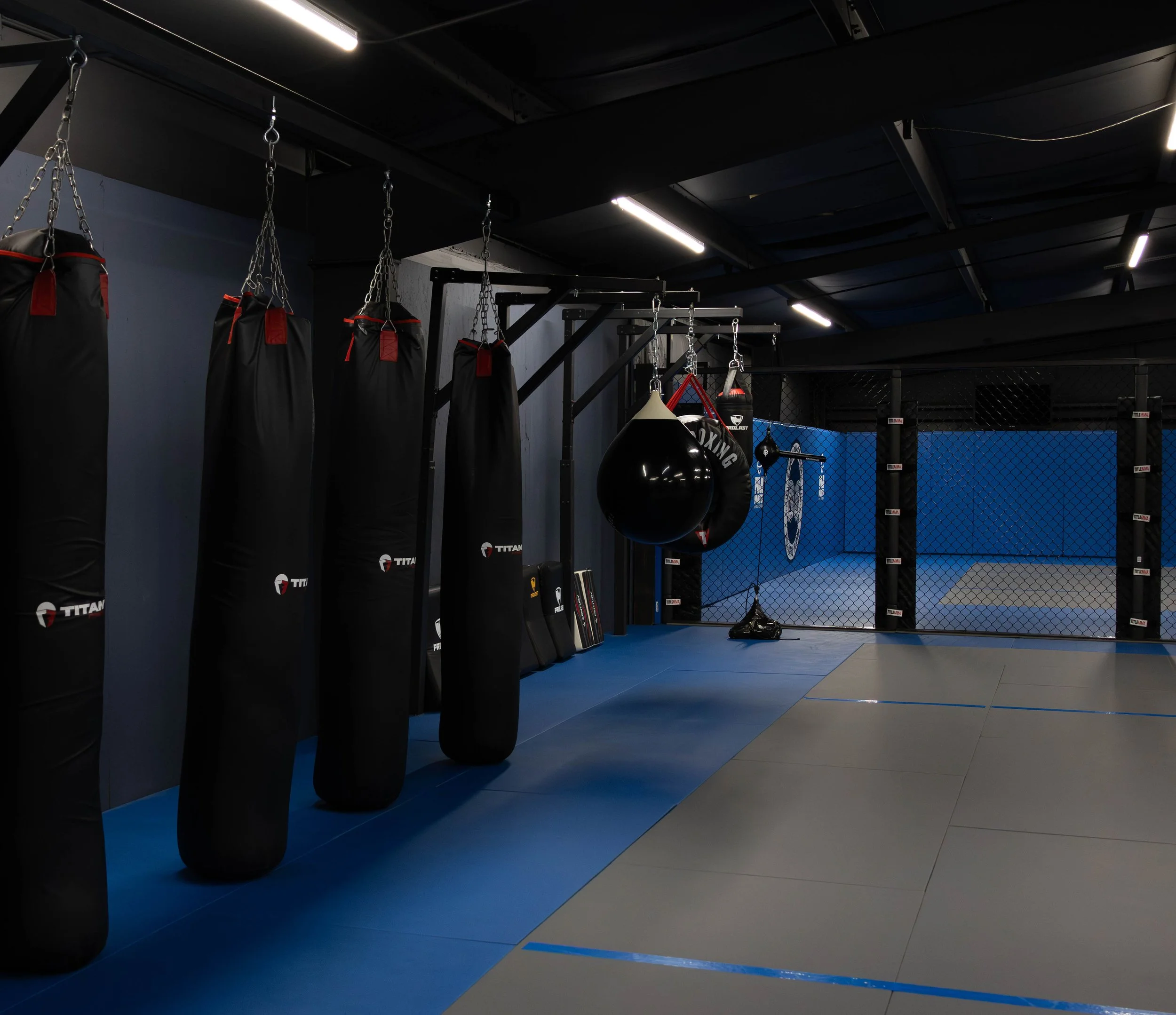 OMAG WEBSITE- bag photo color.jpg