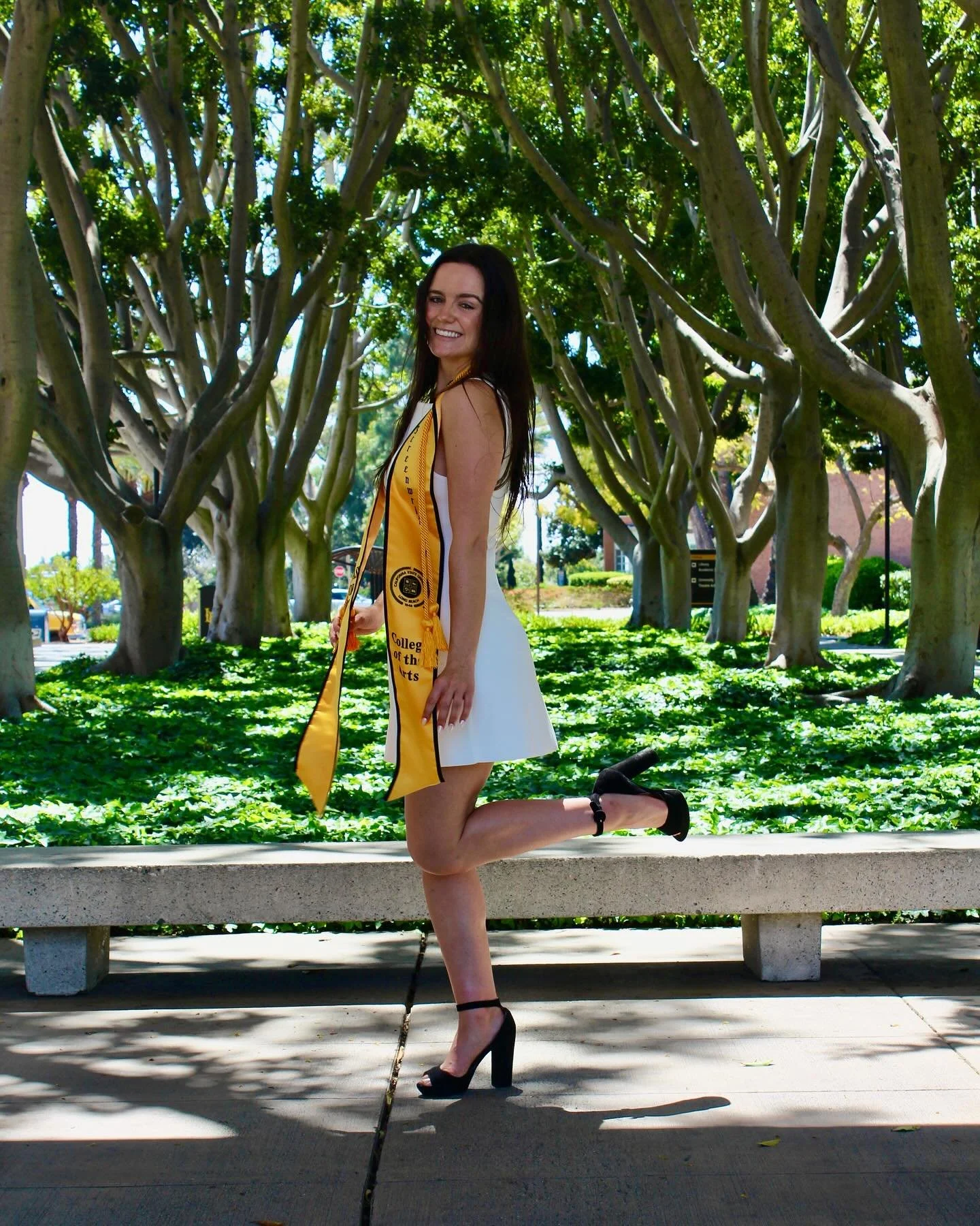 5 years and 3 schools later, i am graduating from film school and not once was the lorax shown in my courses🎓🎬💚