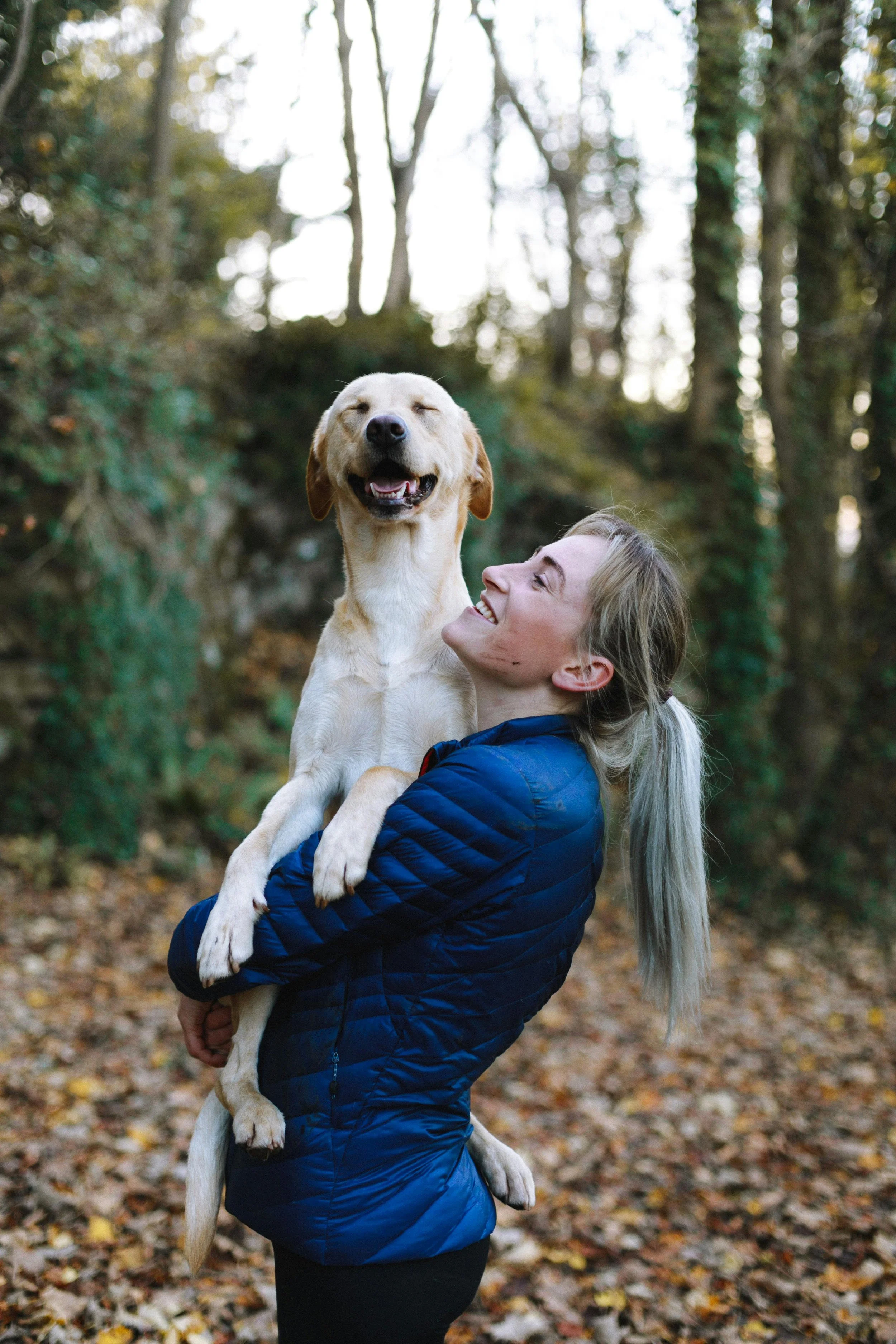 A woman in a blue jacket holding a smiling, joyful yellow labrador retriever in a wooded area with fallen leaves.