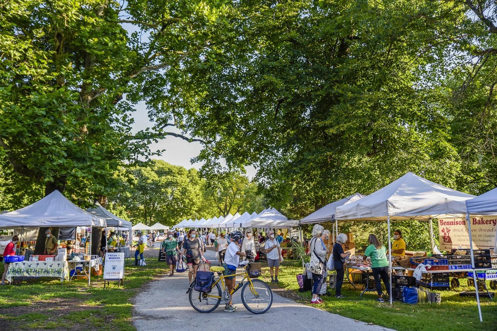 An outdoor farmers market with white tents, people shopping, and a person on a yellow bicycle under green trees on a sunny day.