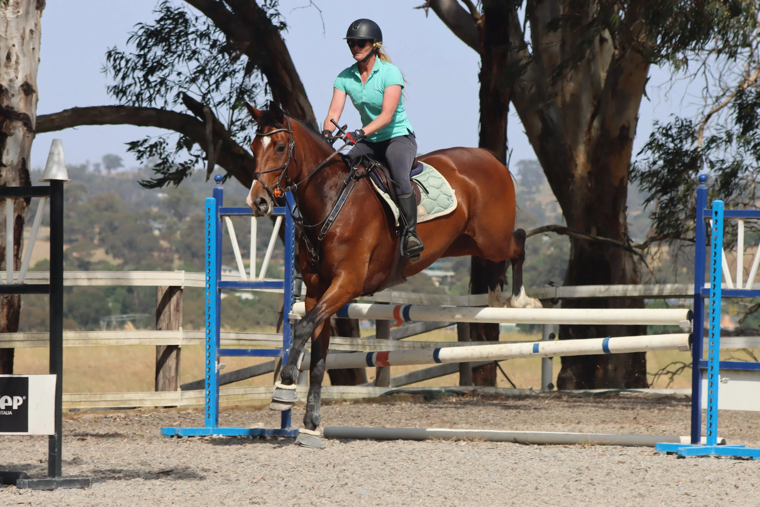 A woman riding a horse over a jump in an equestrian showground with trees and hills in the background.