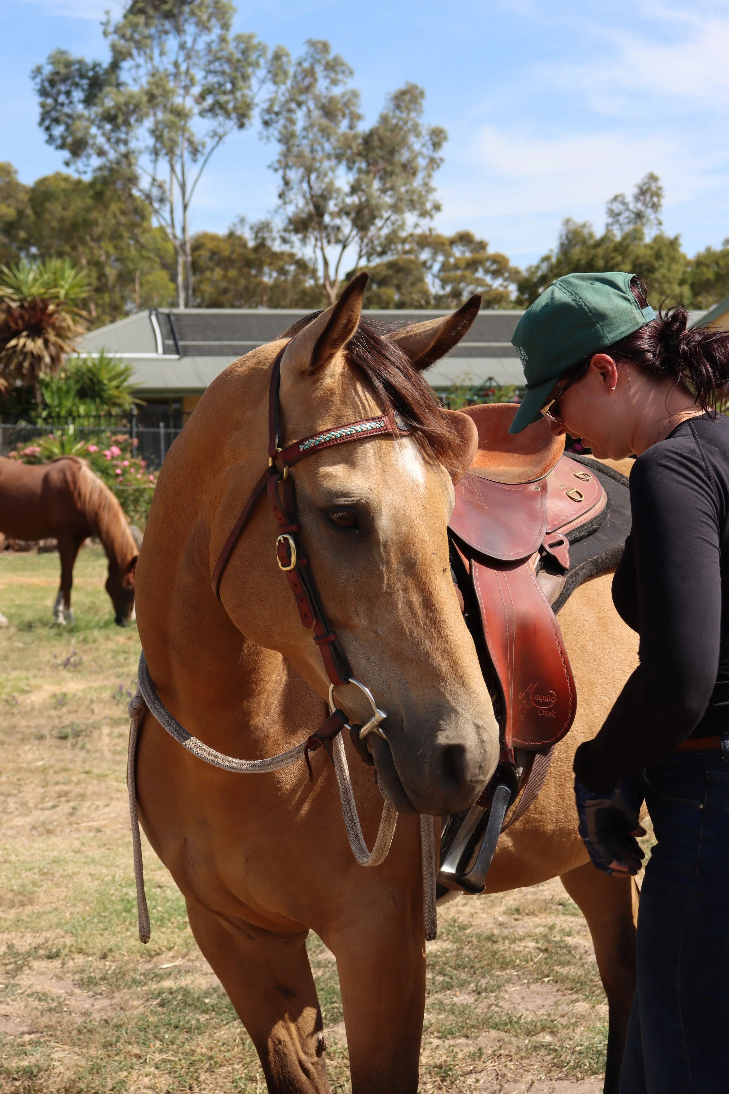A woman in a baseball cap and glasses stands next to a tan horse with a saddle and bridle, in a grassy area with trees and a building in the background.