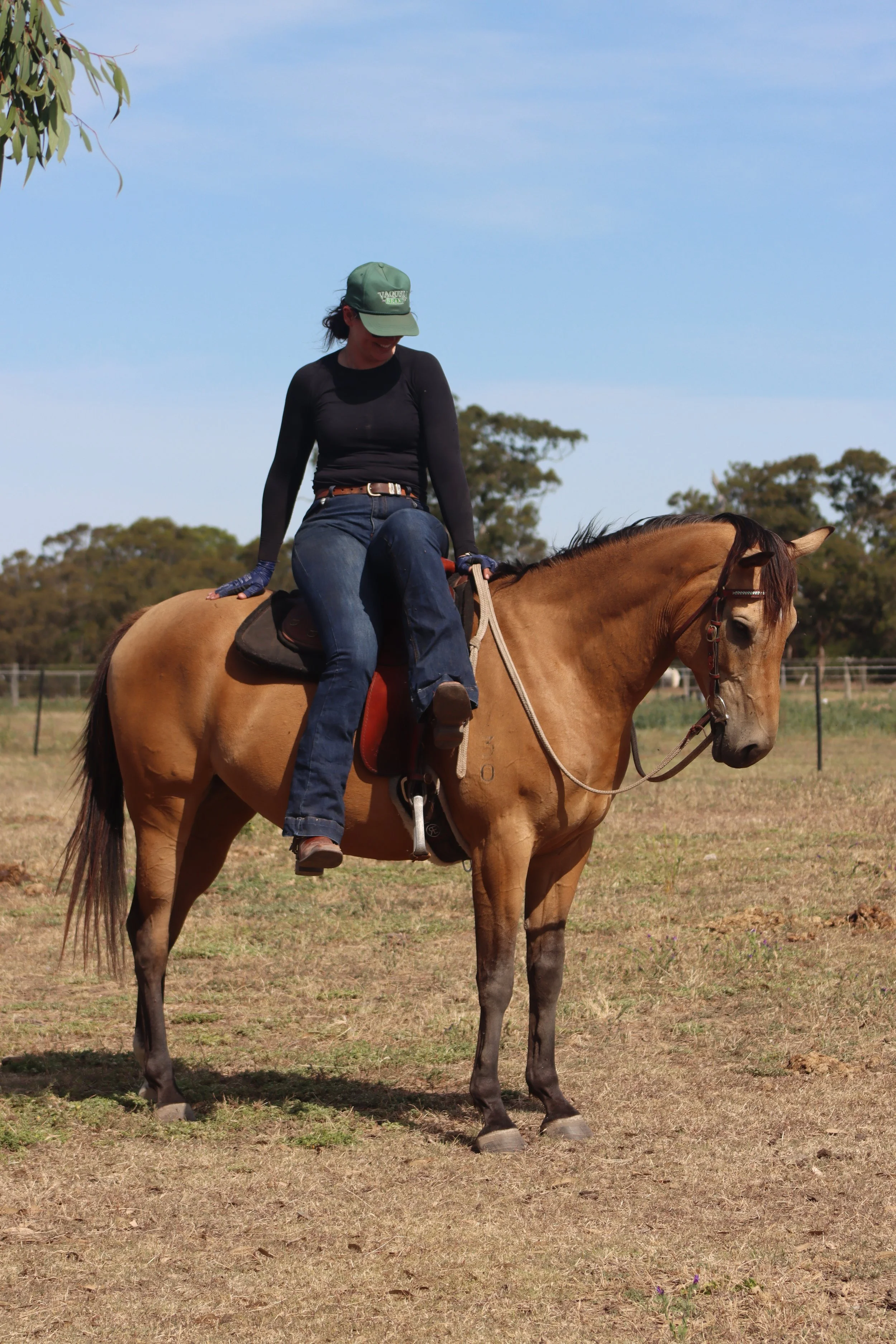 A person in black shirt and jeans sitting on a light brown horse in an open field during daytime.