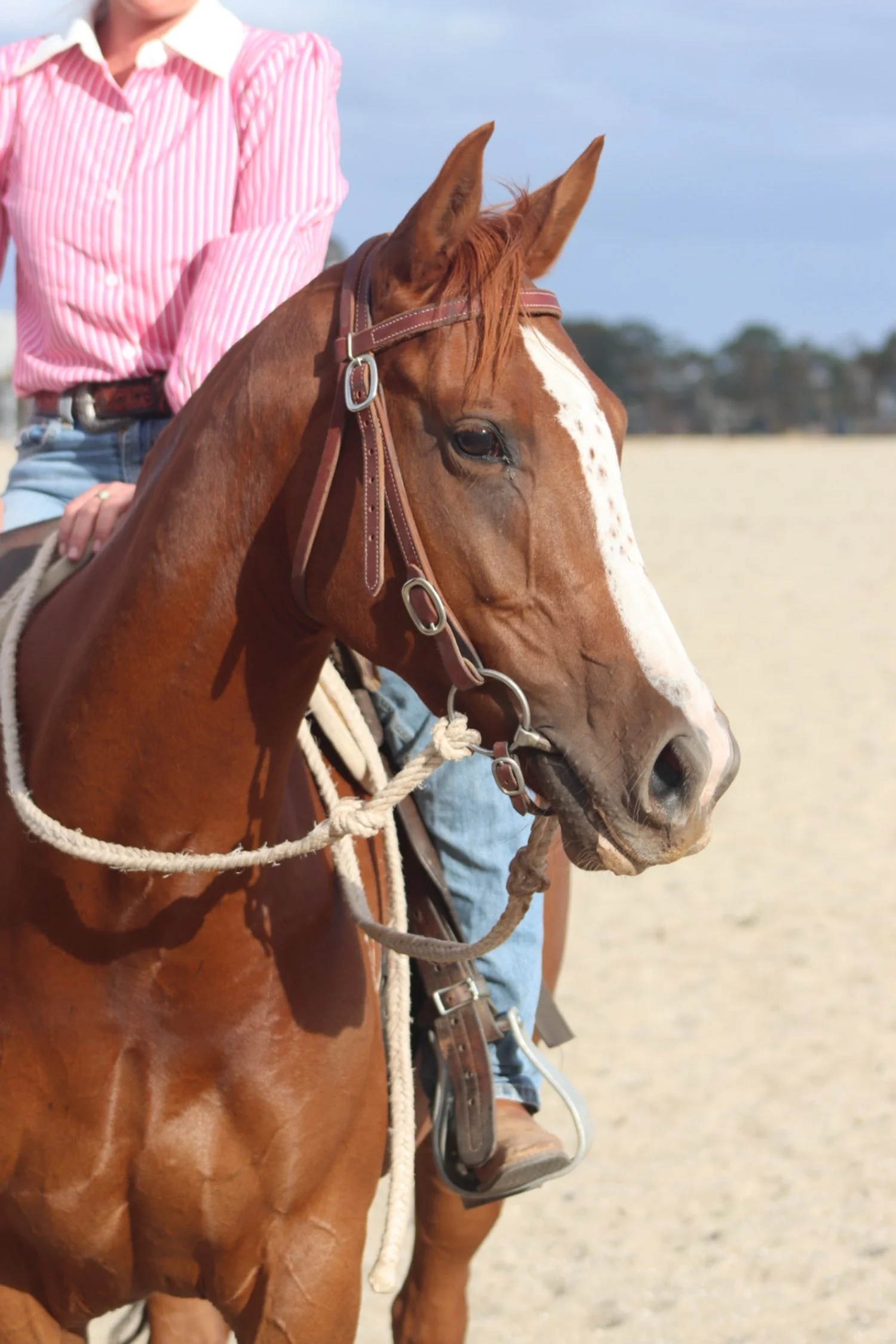 Person riding a brown horse with a white blaze on its face in an open outdoor arena.