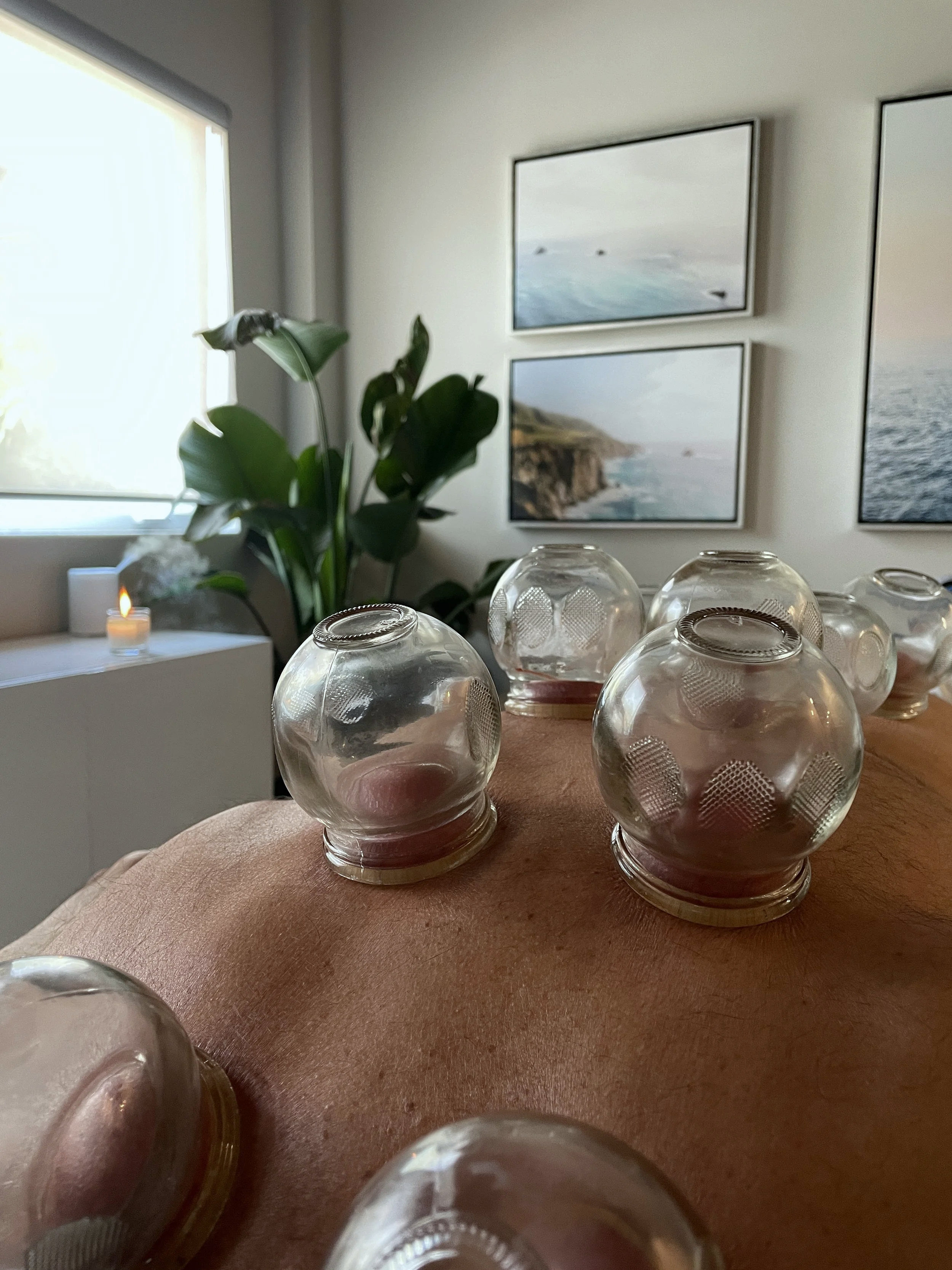 A collection of empty glass jars on a wooden surface with a person’s skin in the foreground, a plant, a window, and framed photos of coastal landscapes on the wall.
