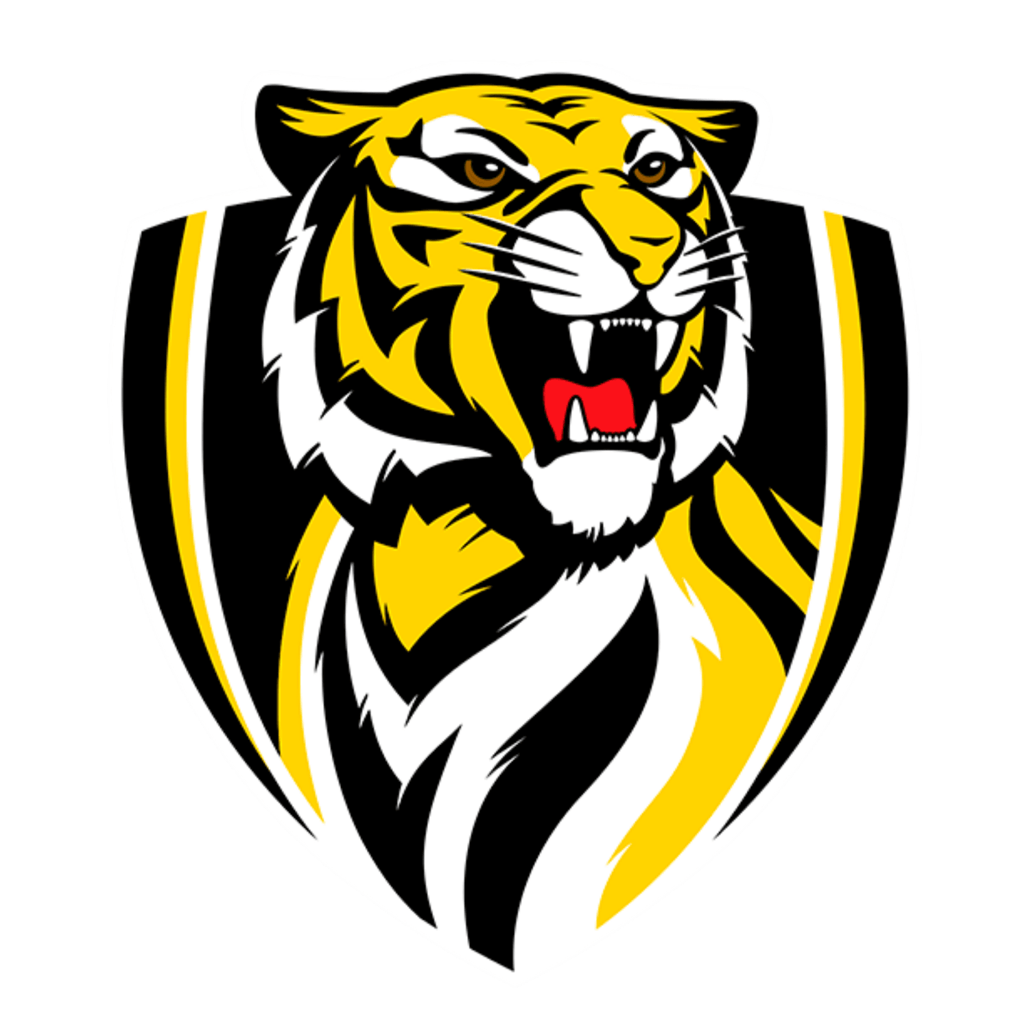 South Mornington Football and Netball Club